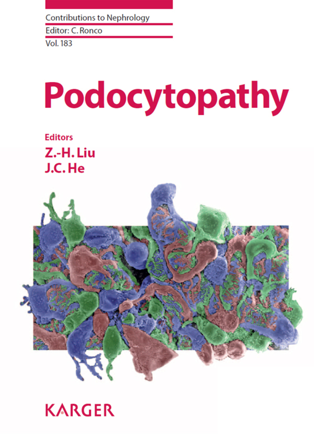 Podocytopathy 1st Edition