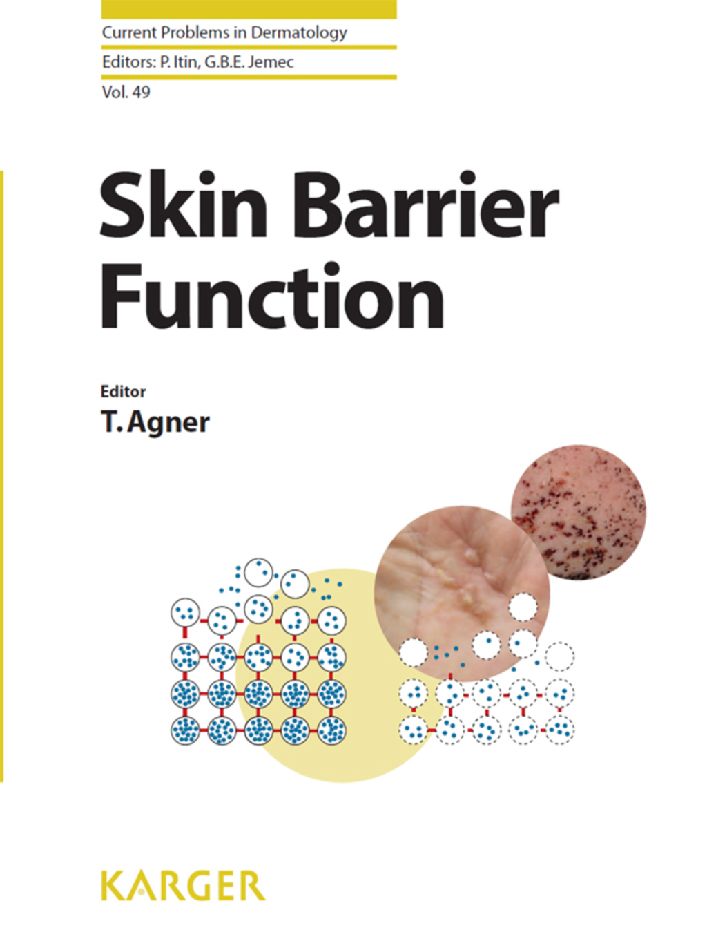 Skin Barrier Function 1st Edition