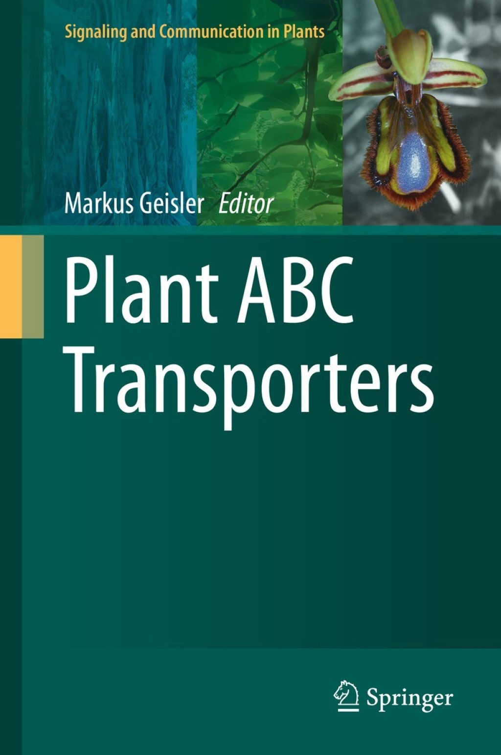 Plant ABC Transporters 