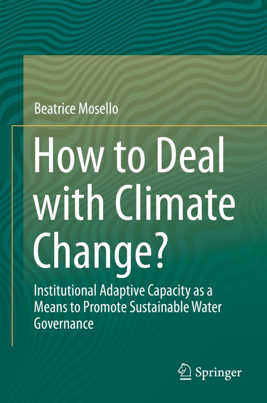How to Deal with Climate Change? Institutional Adaptive Capacity as a Means to Promote Sustainable Water Governance 