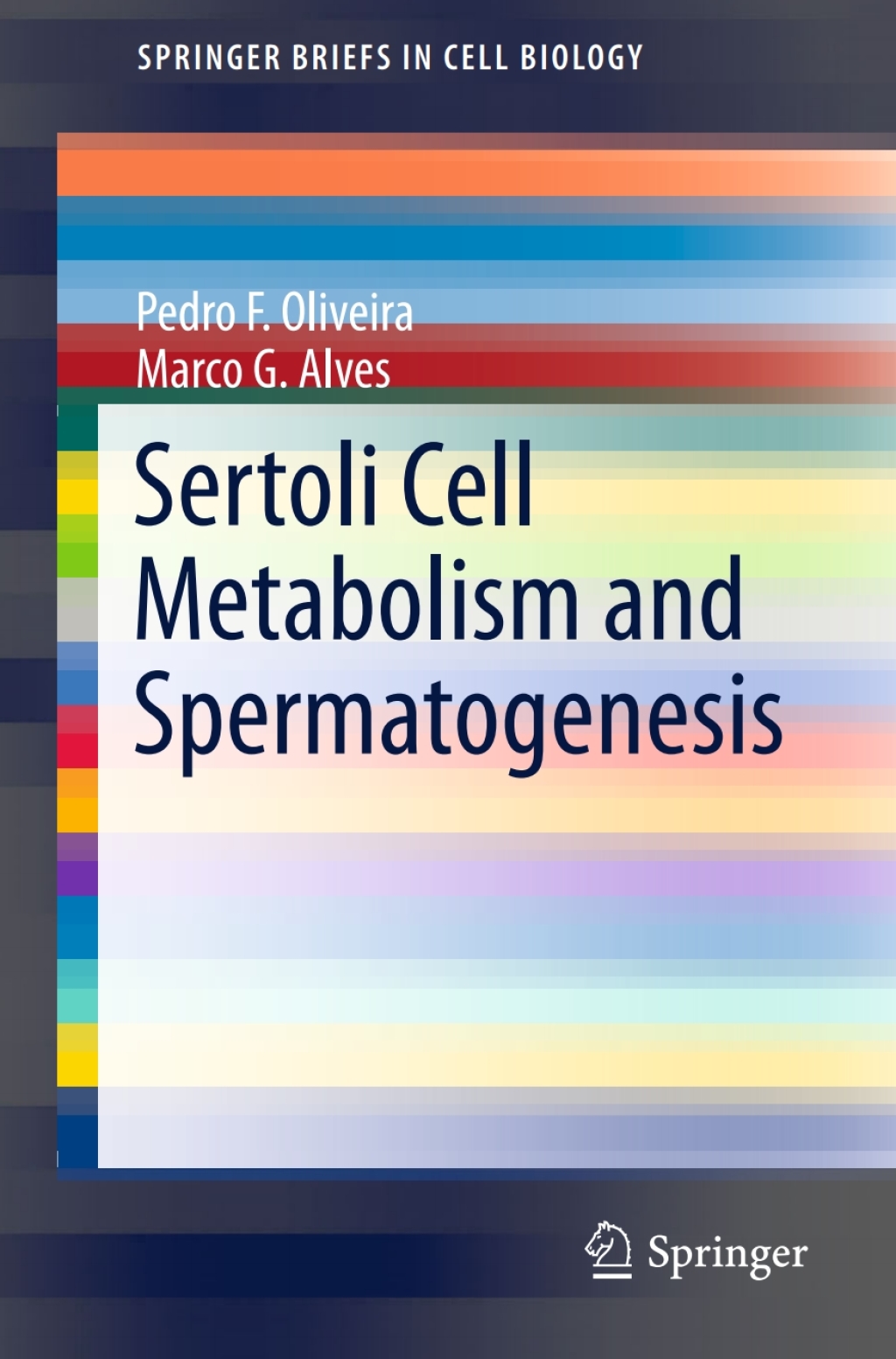 Sertoli Cell Metabolism and Spermatogenesis 