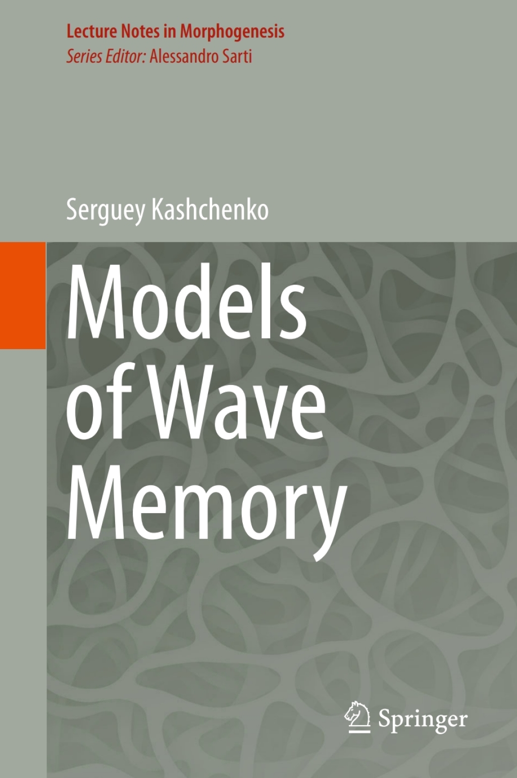 Models of Wave Memory 