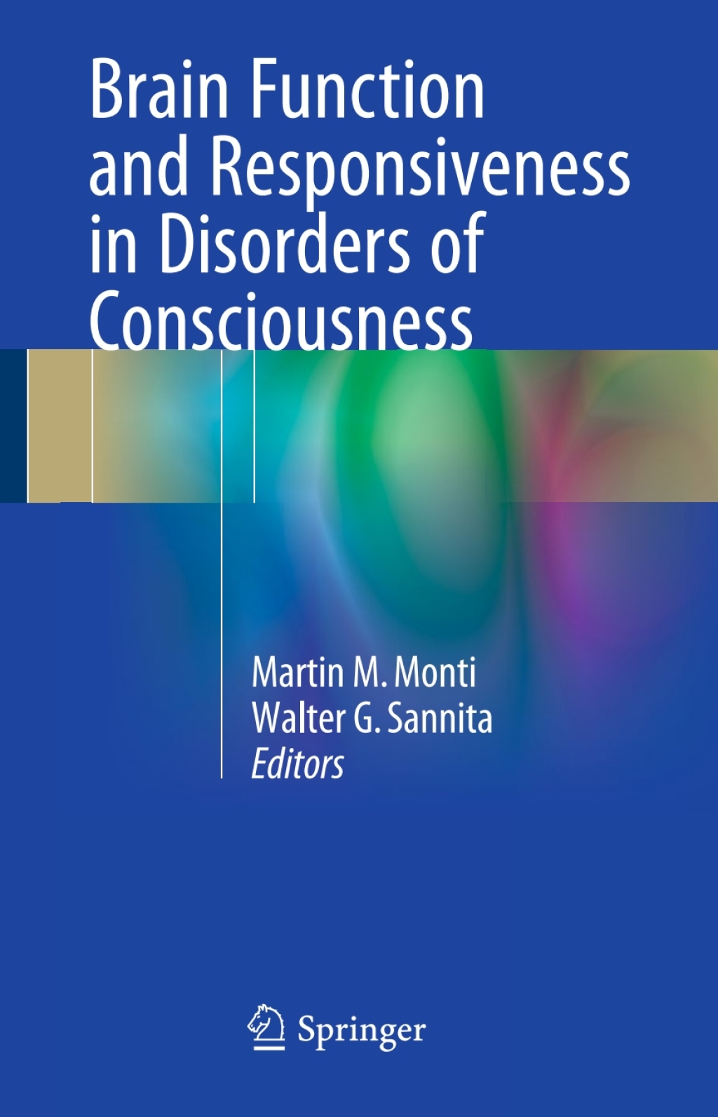 Brain Function and Responsiveness in Disorders of Consciousness 