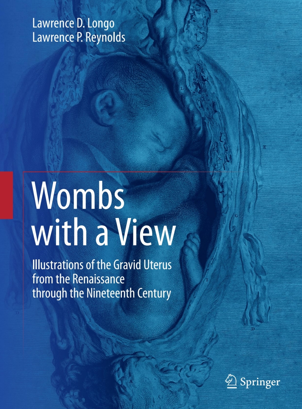Wombs with a View Illustrations of the Gravid Uterus from the Renaissance through the Nineteenth Century 