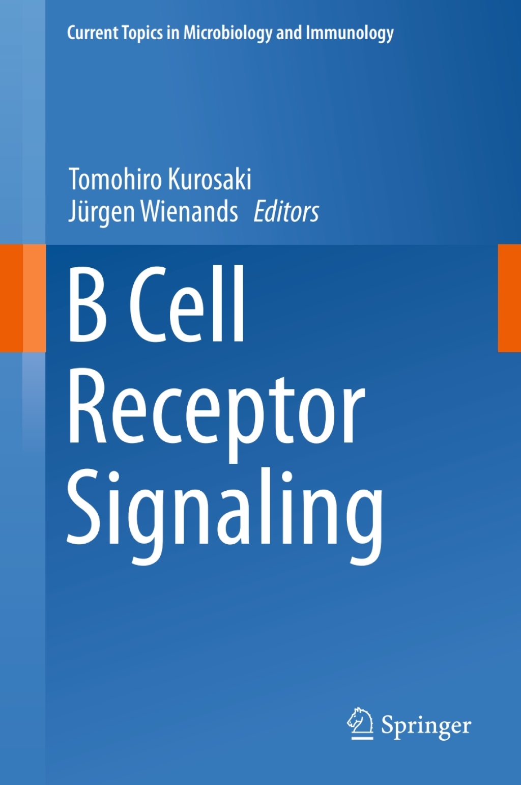 B Cell Receptor Signaling 