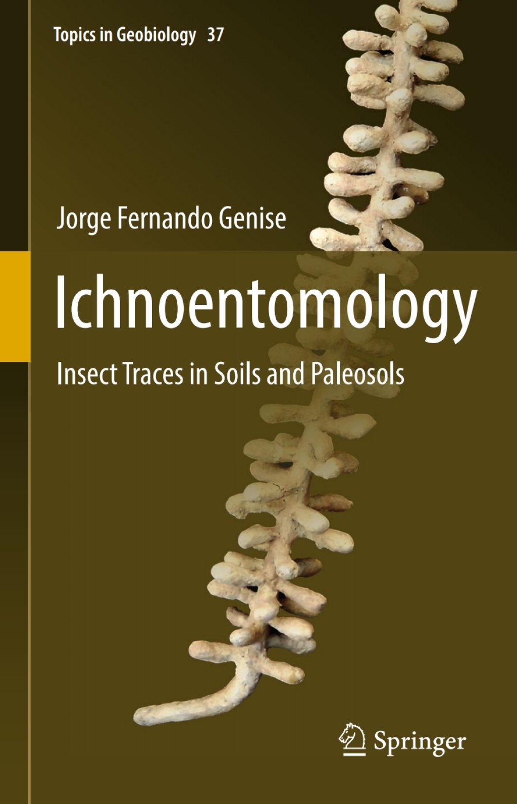 Ichnoentomology Insect Traces in Soils and Paleosols 
