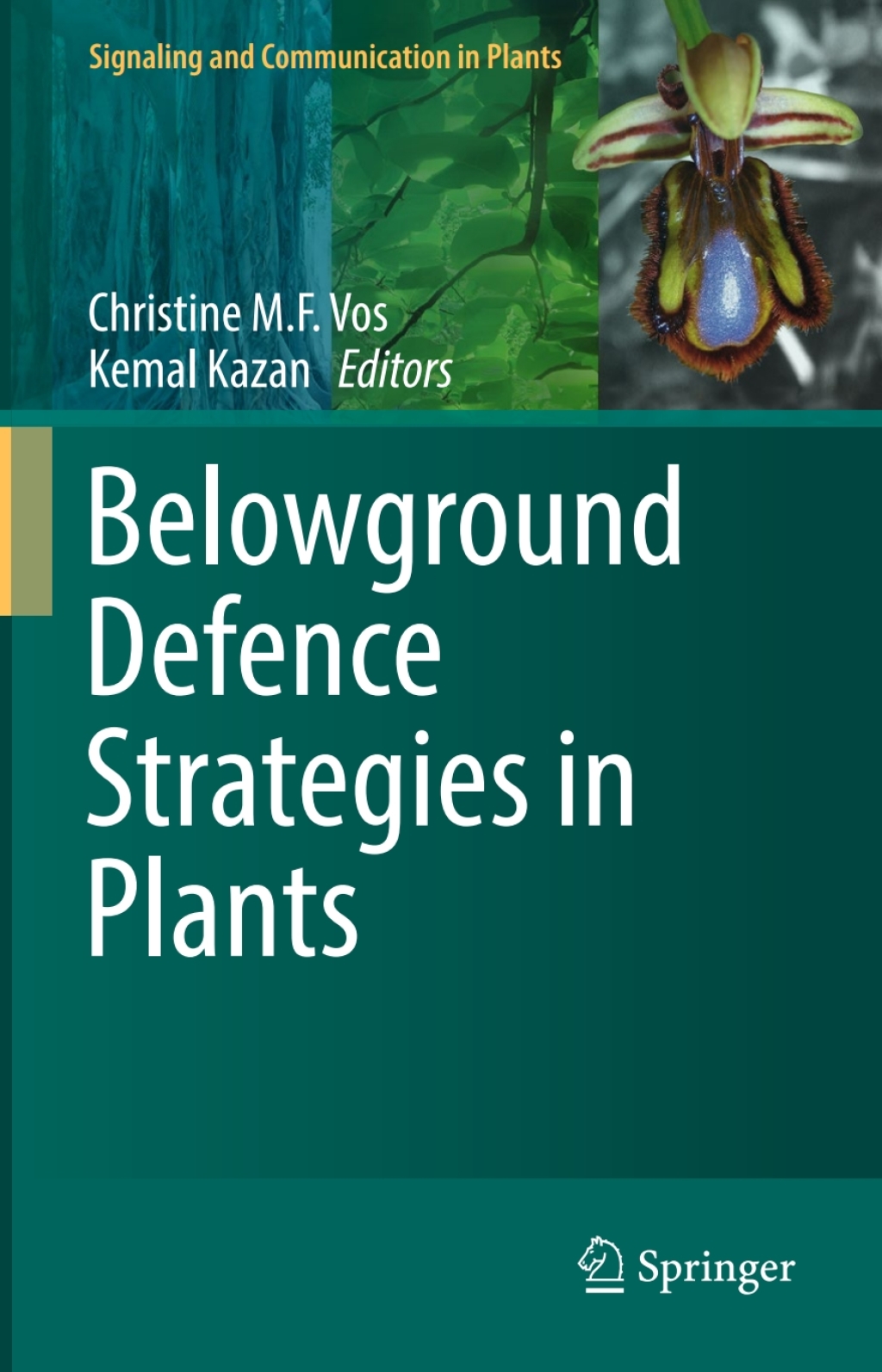 Belowground Defence Strategies in Plants 