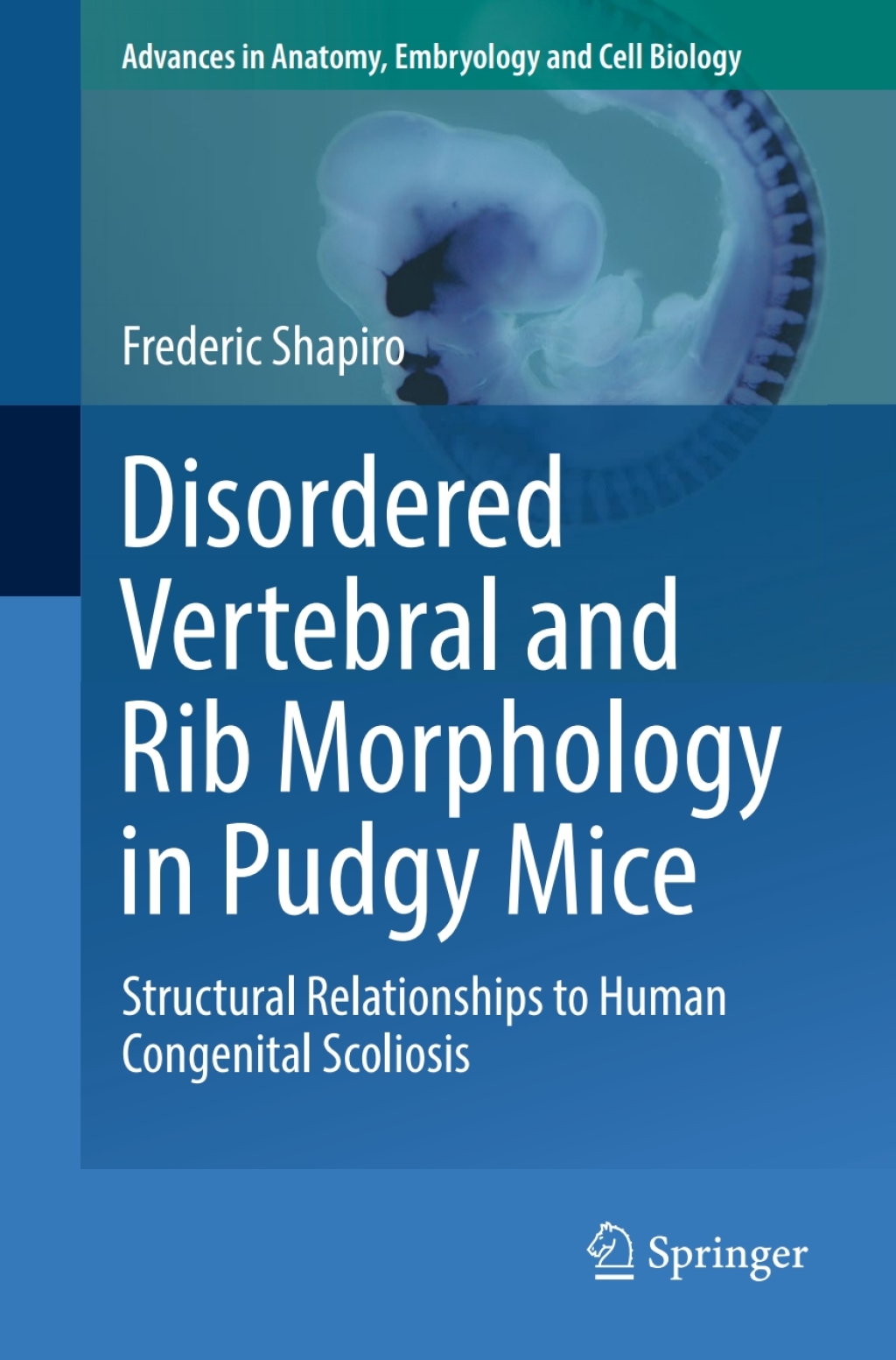 Disordered Vertebral and Rib Morphology in Pudgy Mice Structural Relationships to Human Congenital Scoliosis 