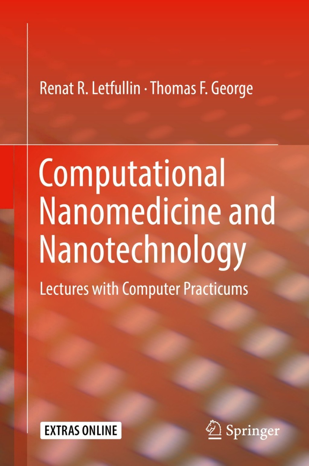 Computational Nanomedicine and Nanotechnology Lectures with Computer Practicums