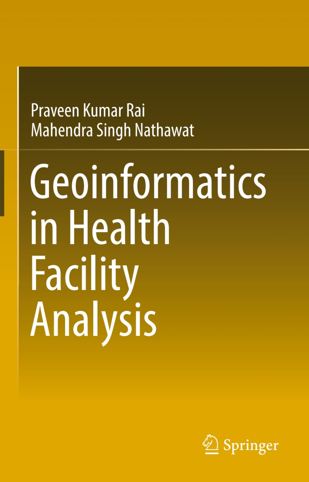 Geoinformatics in Health Facility Analysis