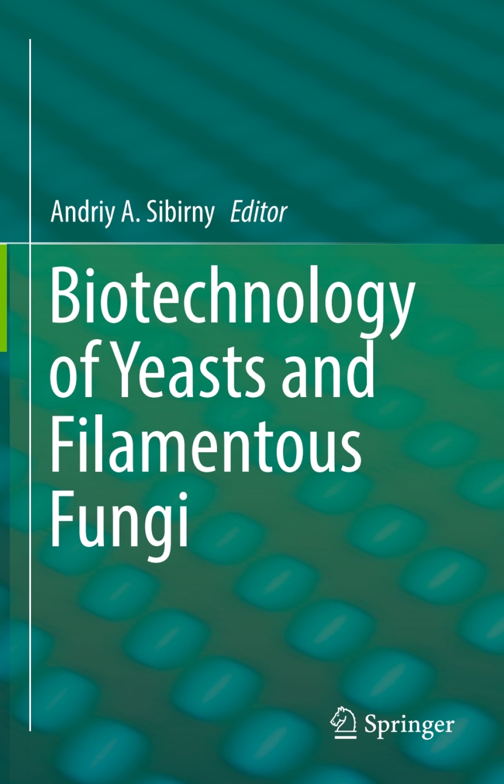 Biotechnology of Yeasts and Filamentous Fungi 