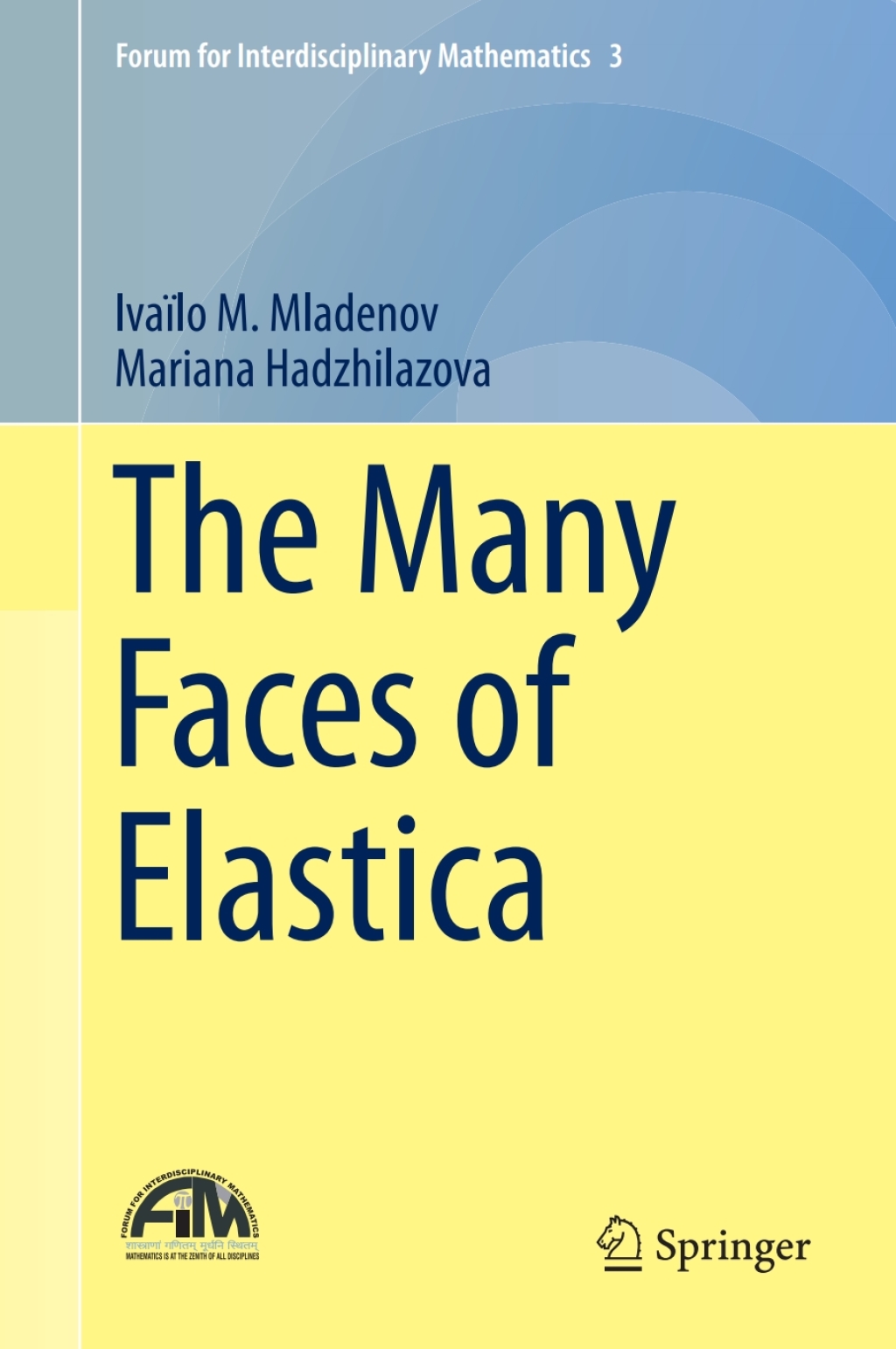 The Many Faces of Elastica 
