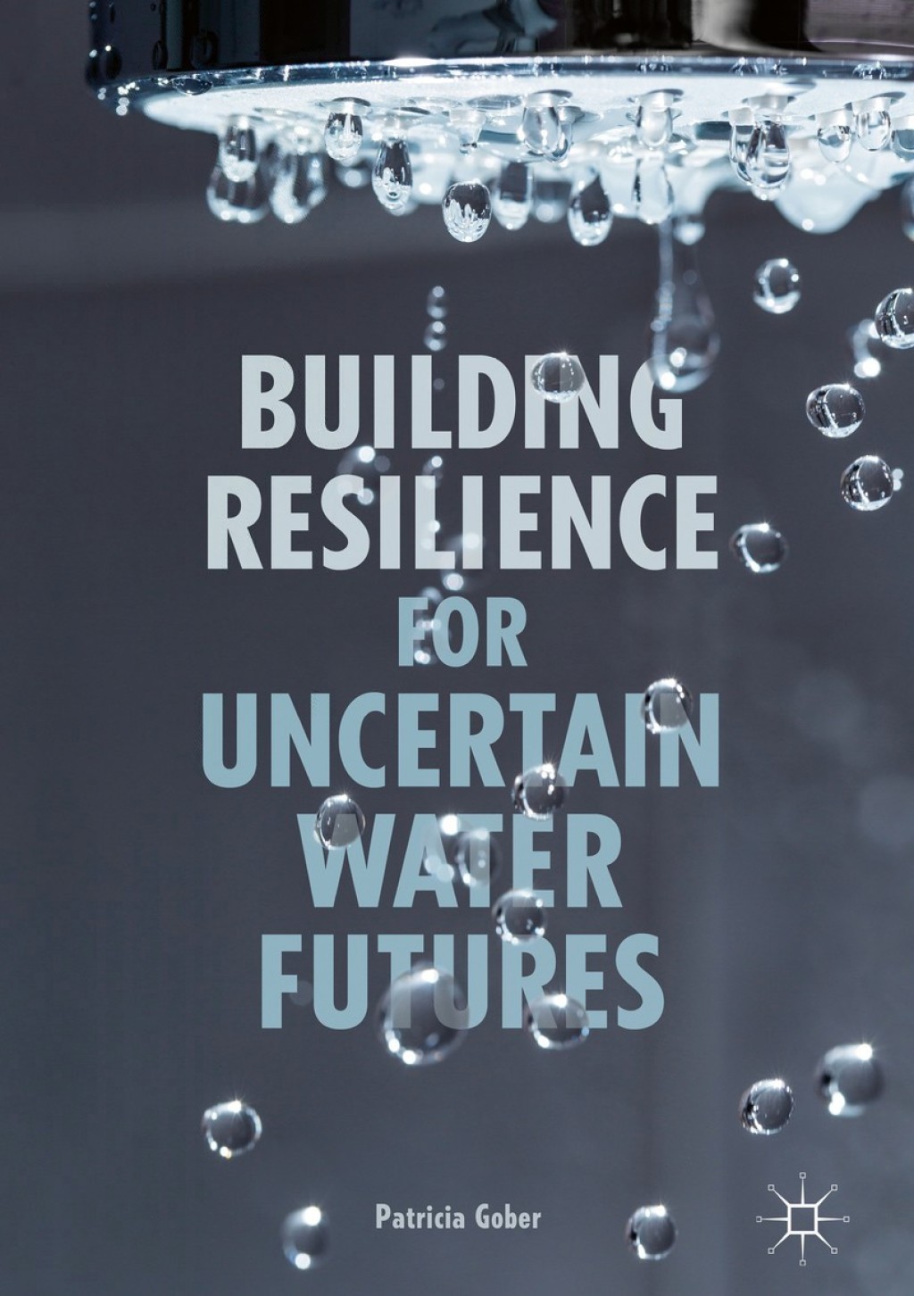 Building Resilience for Uncertain Water Futures 