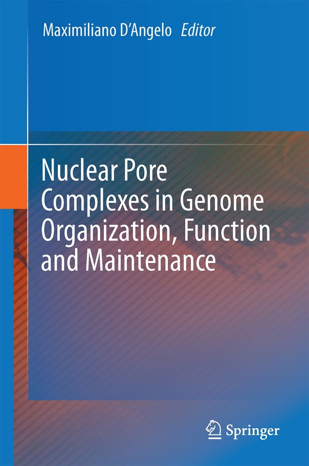 Nuclear Pore Complexes in Genome Organization, Function and Maintenance 