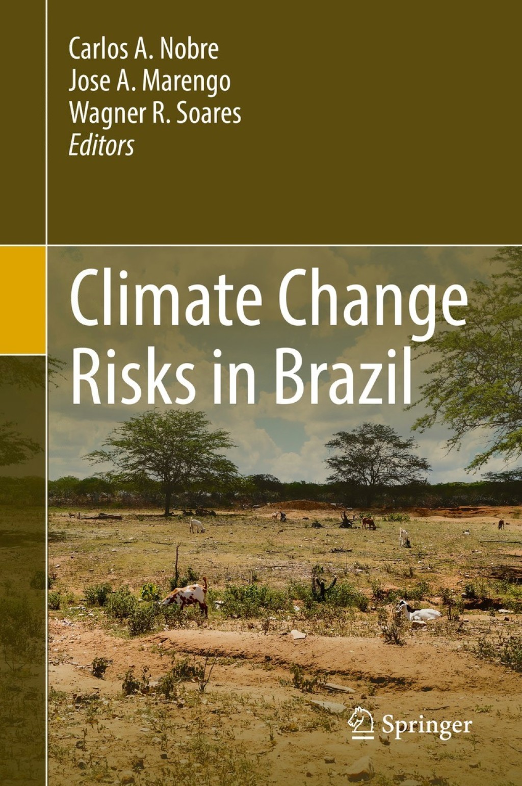 Climate Change Risks in Brazil 