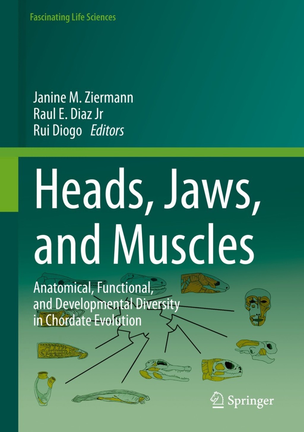 Heads, Jaws, and Muscles Anatomical, Functional, and Developmental Diversity in Chordate Evolution 