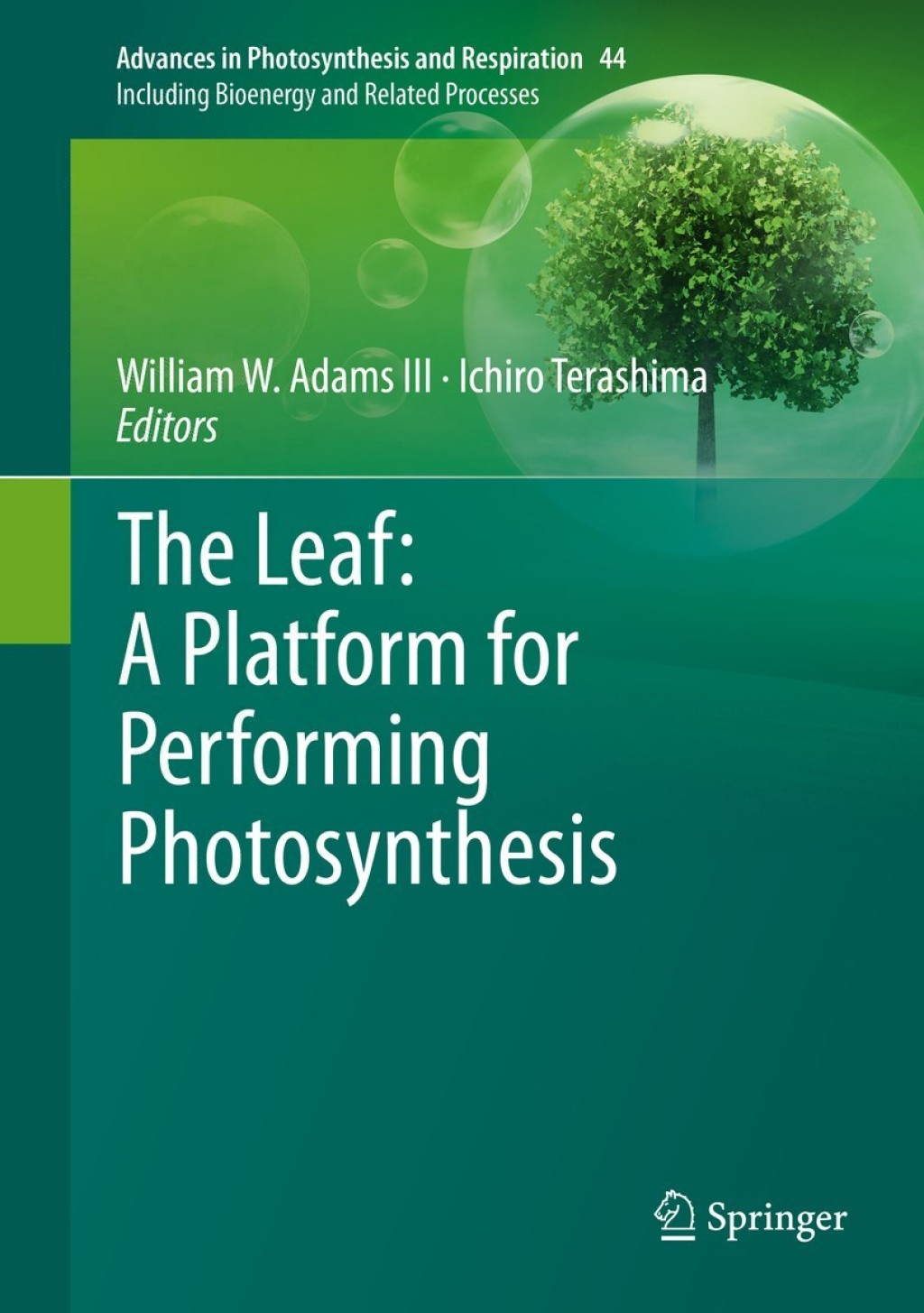 The Leaf: A Platform for Performing Photosynthesis 