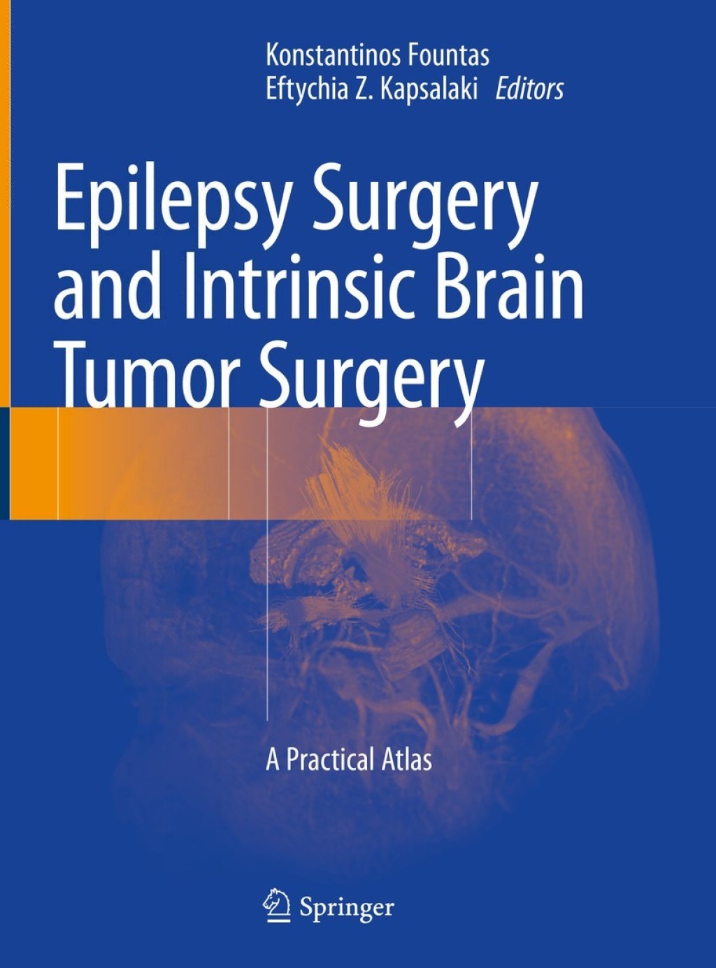 Epilepsy Surgery and Intrinsic Brain Tumor Surgery A Practical Atlas 