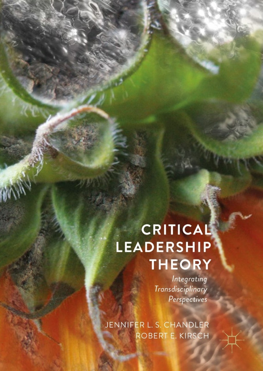 Critical Leadership Theory Integrating Transdisciplinary Perspectives 