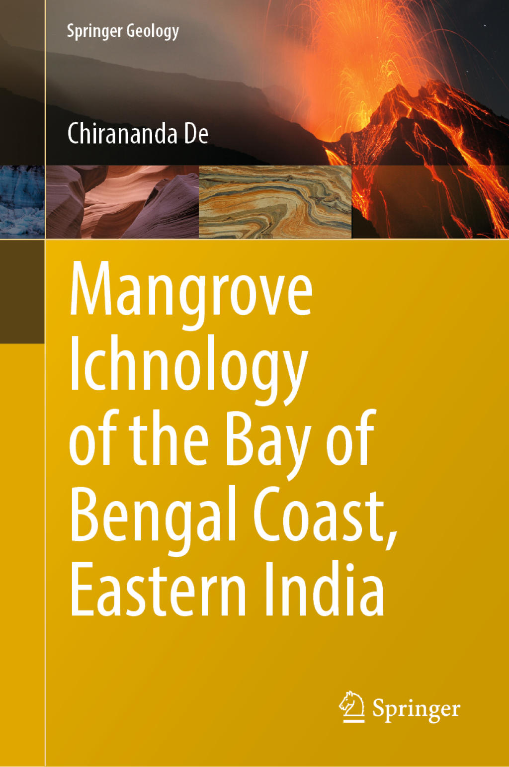 Mangrove Ichnology of the Bay of Bengal Coast, Eastern India 