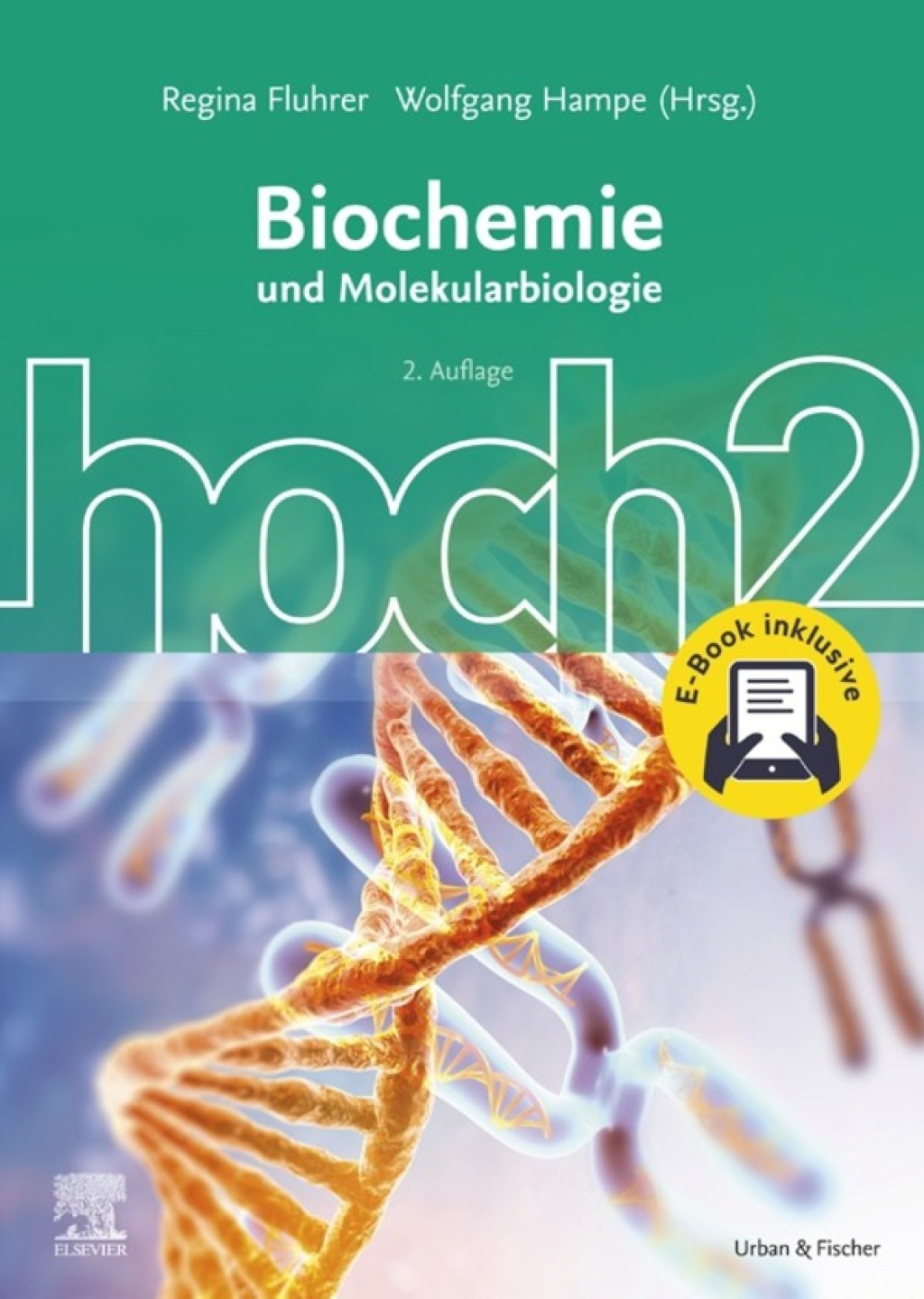 Biochemie hoch2 2nd Edition