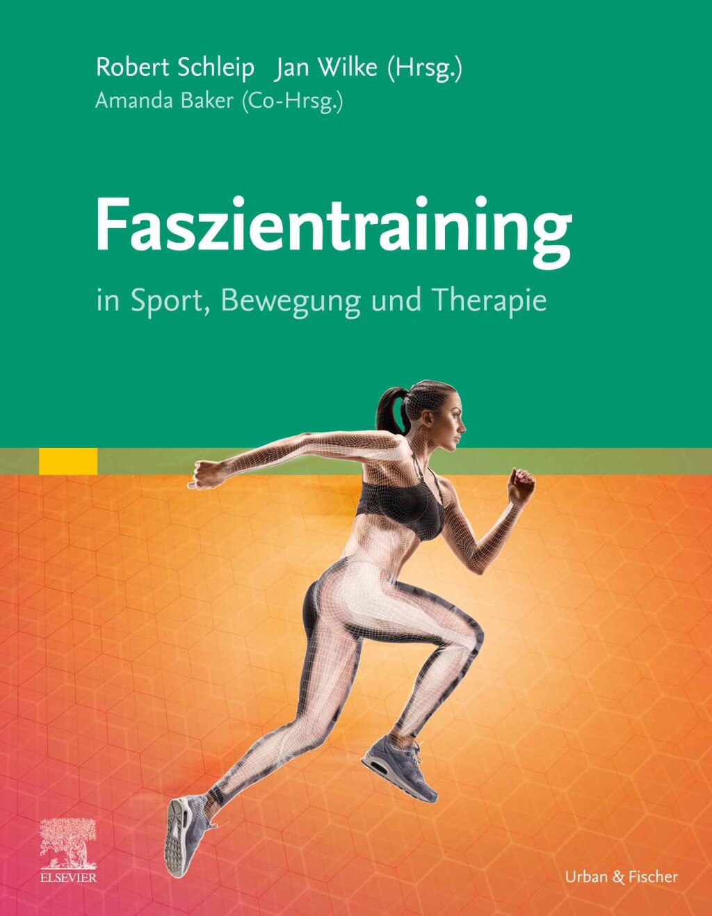 Faszientraining In Sport, Bewegung und Therapie 1st Edition