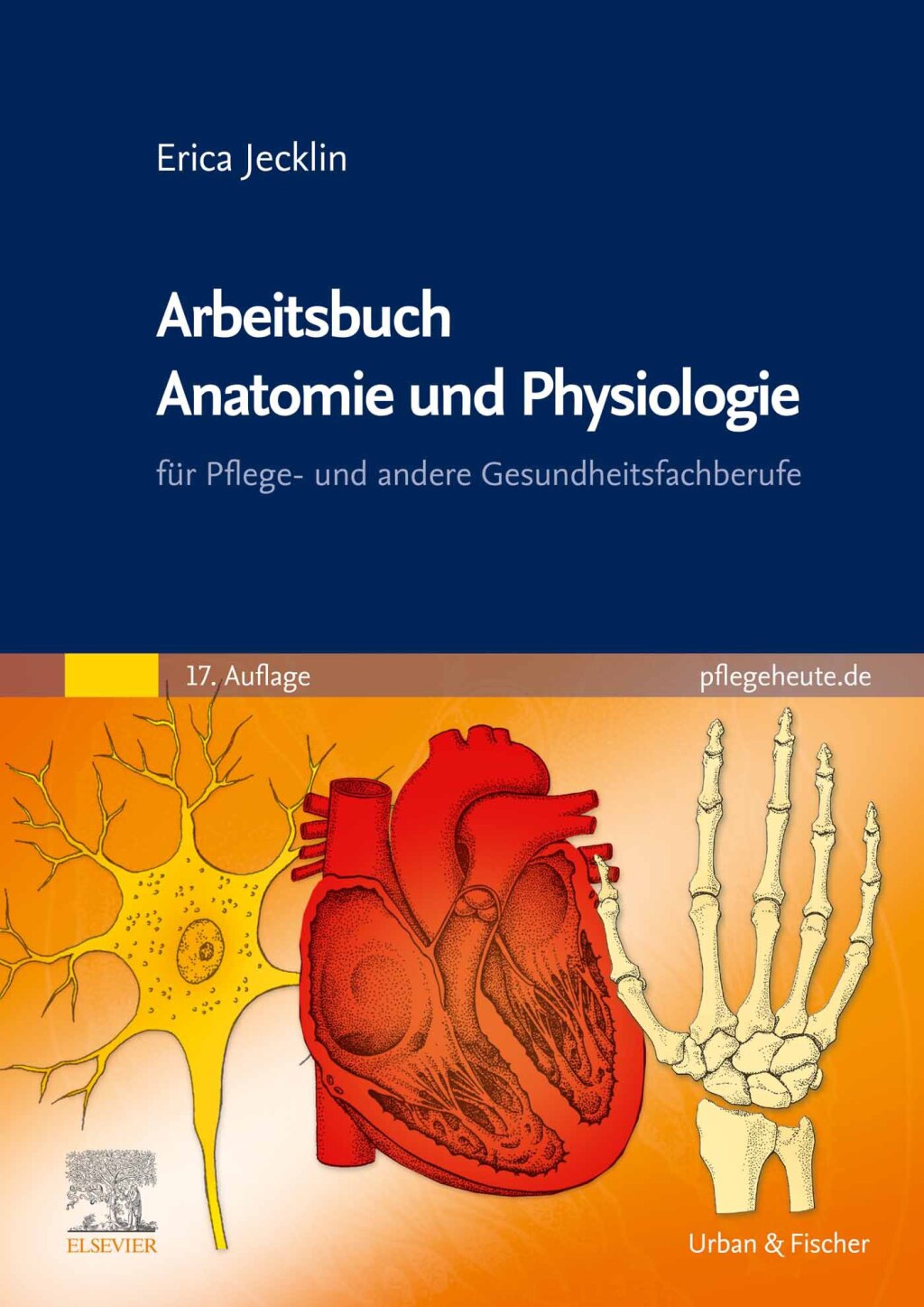 Arbeitsbuch Anatomie und Physiologie fÃƒÂ¼r Pflege- und andere Gesundheitsfachberufe 17th Edition