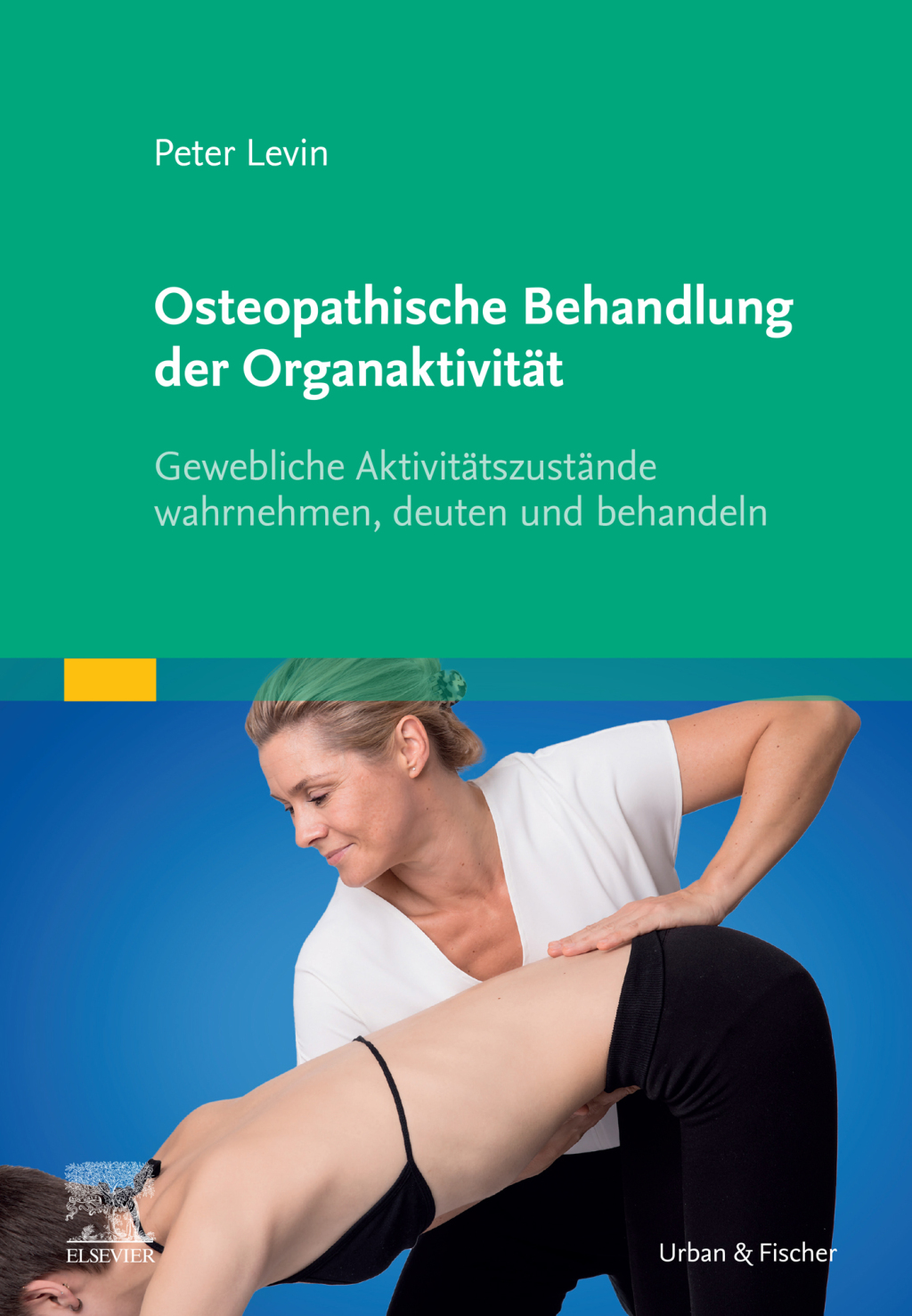 Osteopathische Behandlung der OrganaktivitÃƒÂ¤t Gewebliche AktivitÃƒÂ¤tszustÃƒÂ¤nde wahrnehmen, deuten und behandeln 