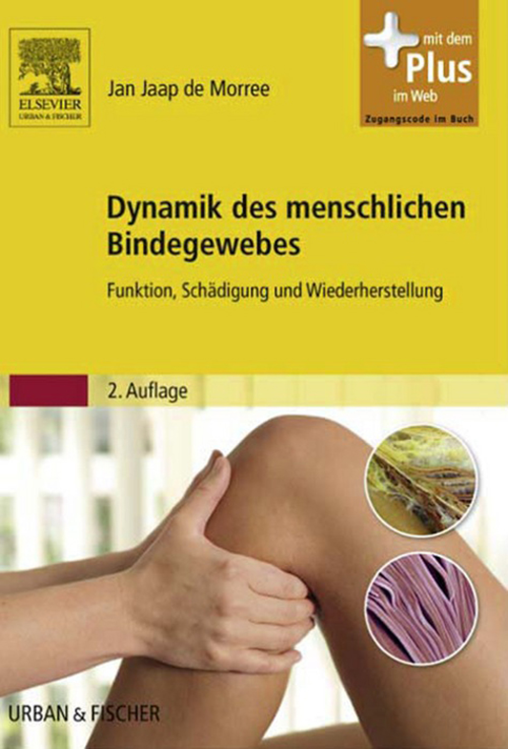 Dynamik des menschlichen Bindegewebes Funktion, SchÃƒÂ¤digung und Wiederherstellung 2nd Edition