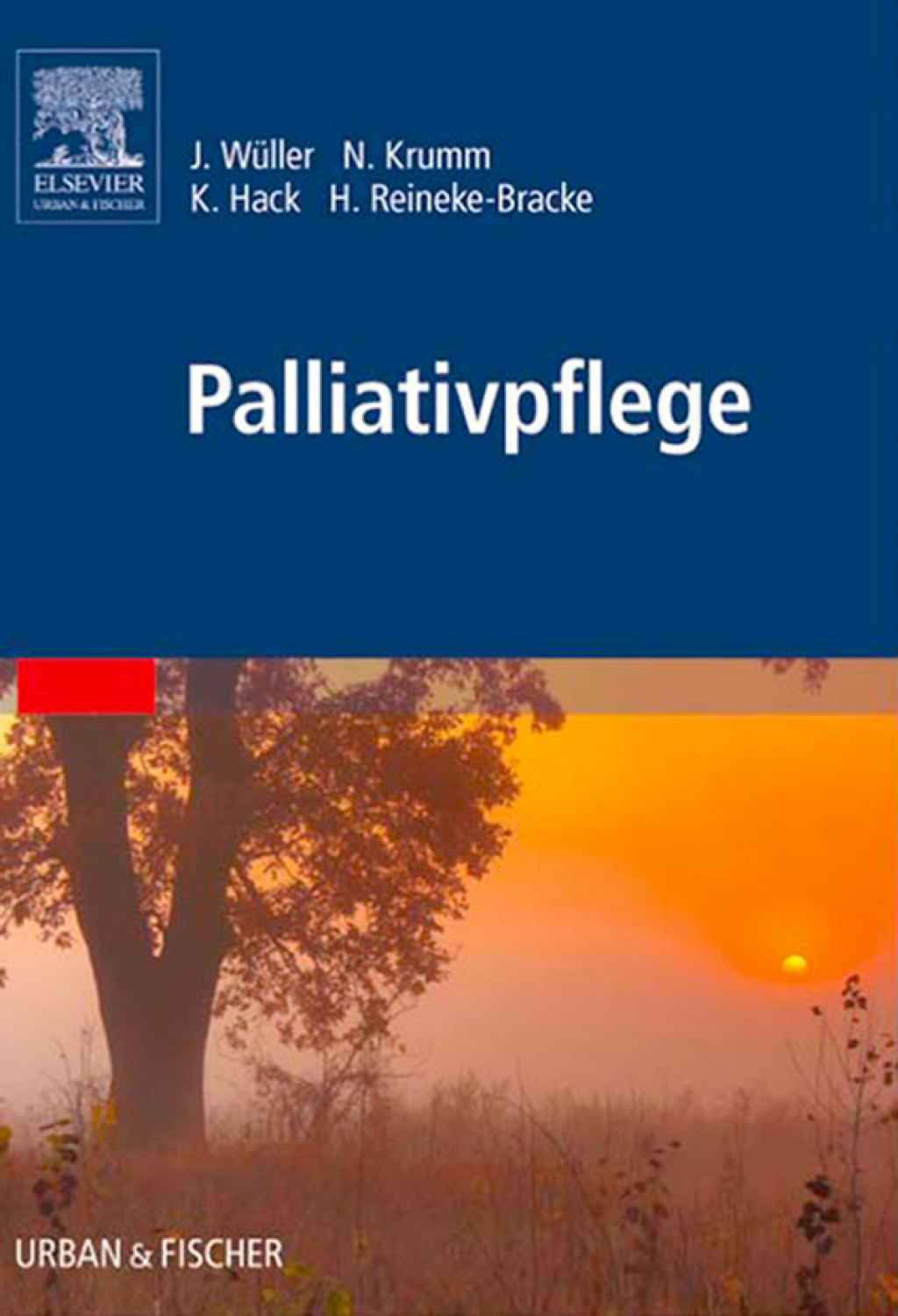 Palliativpflege 