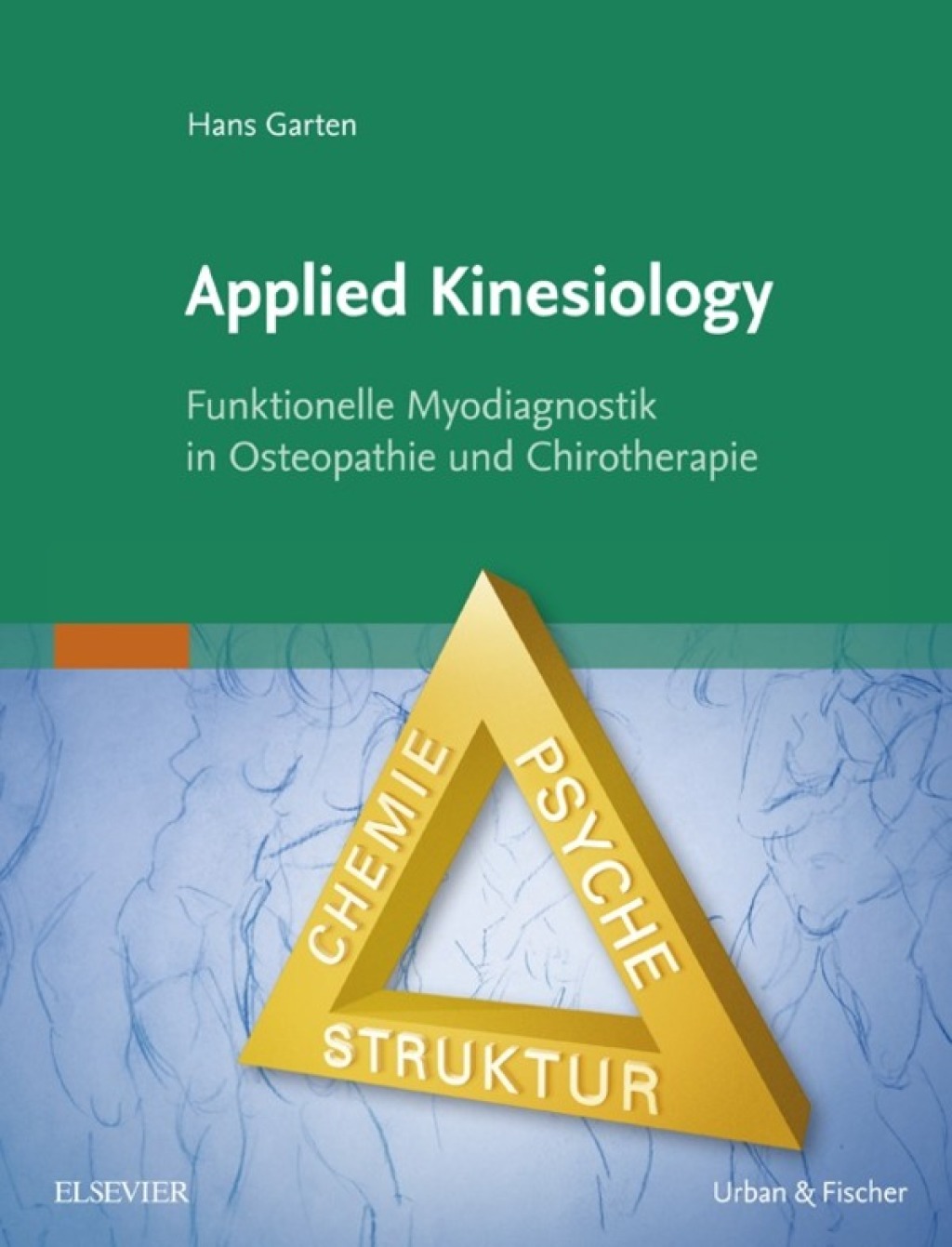 Applied Kinesiology Funktionelle Myodiagnostik in Osteopathie und Chirotherapie 