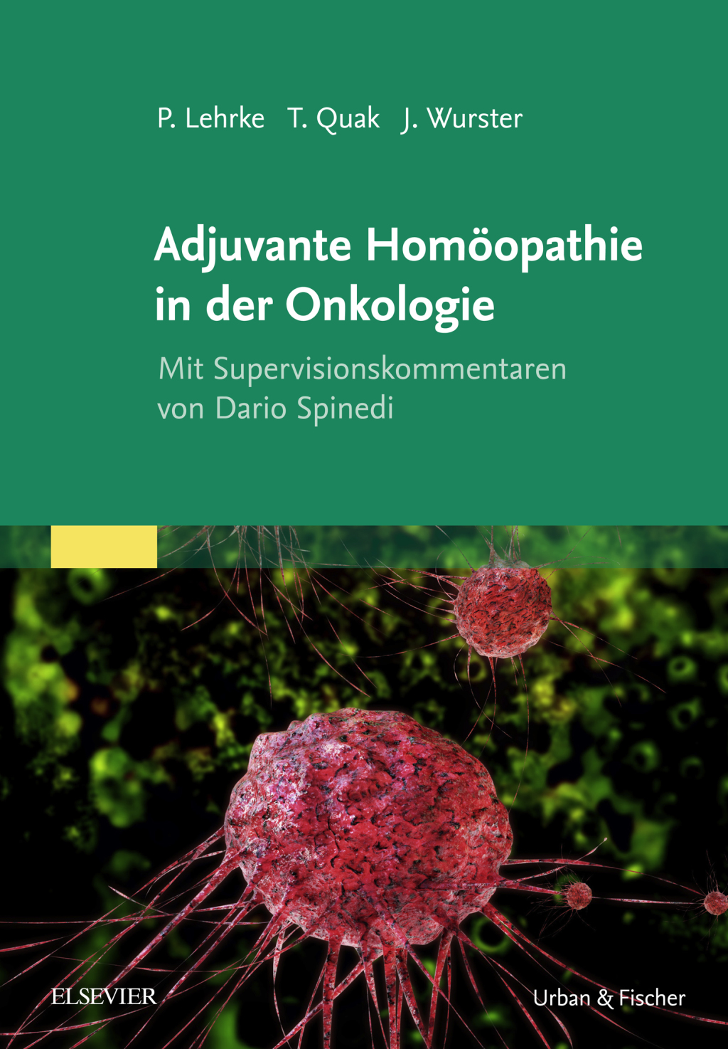 Adjuvante HomÃƒÂ¶opathie in der Onkologie 