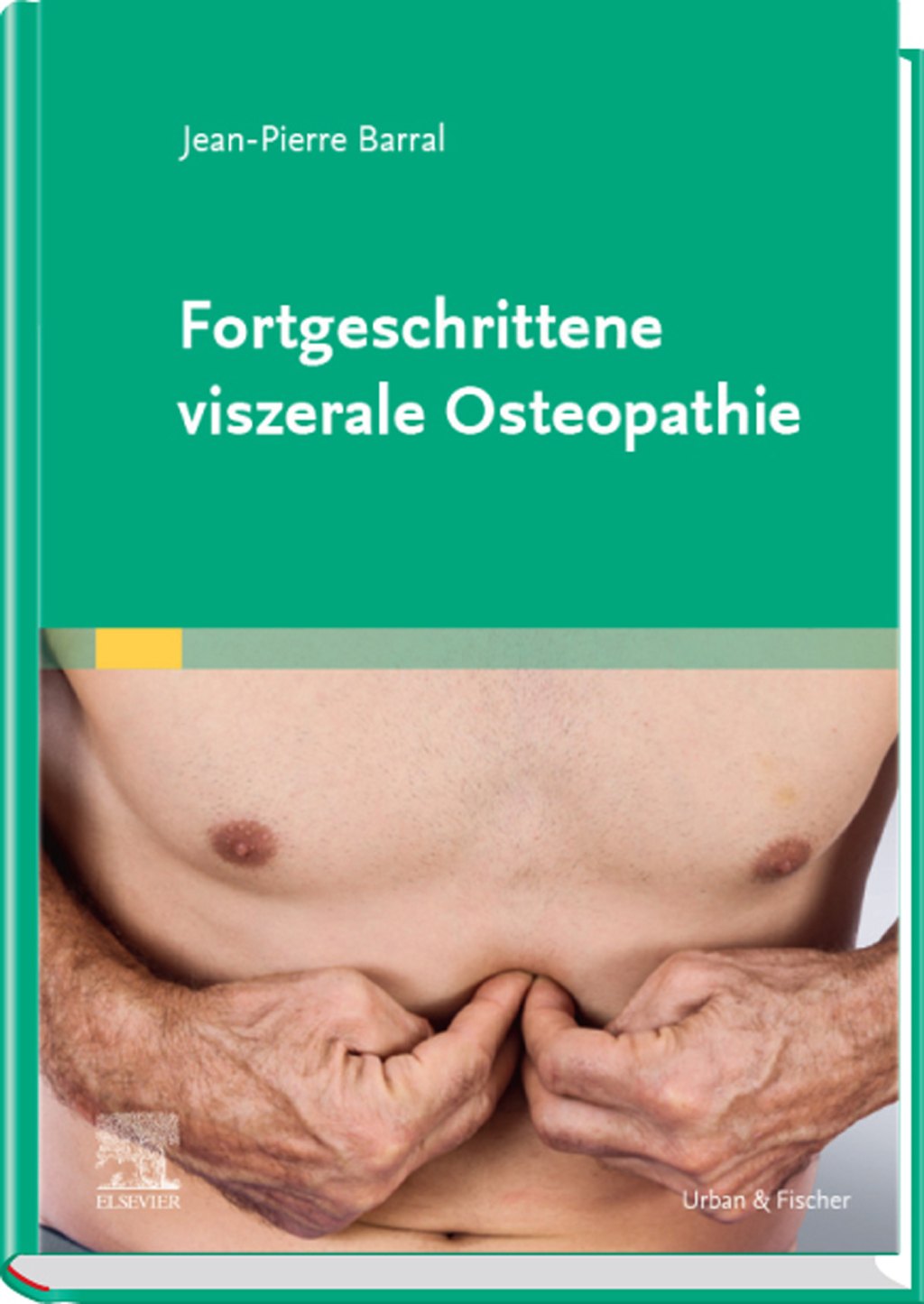 Fortgeschrittene viszerale Osteopathie 
