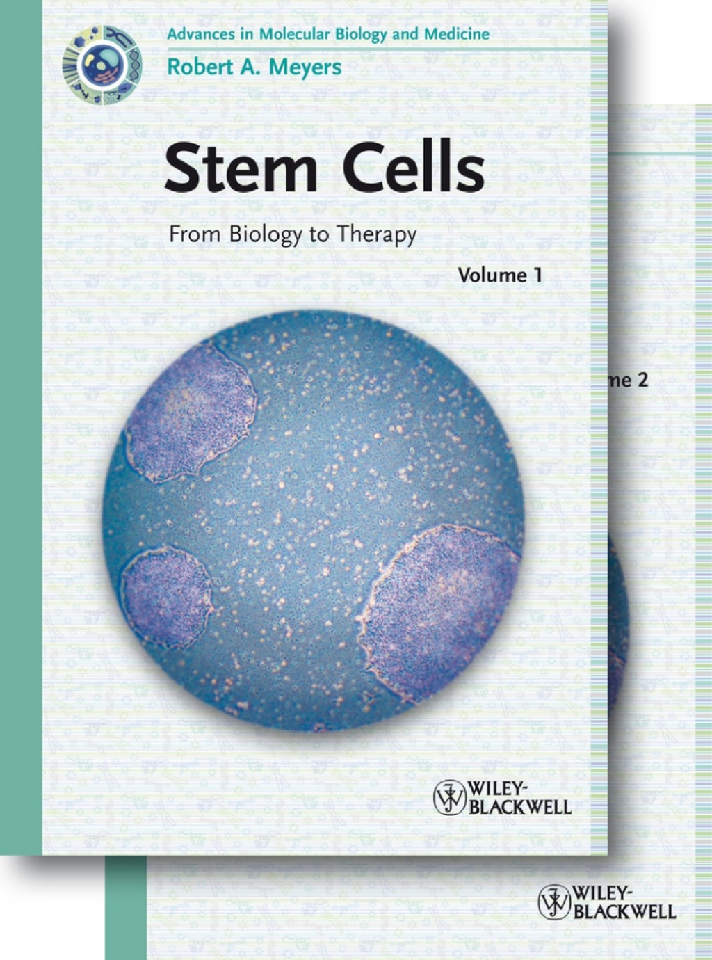 Stem Cells: From Biology to Therapy 1st Edition