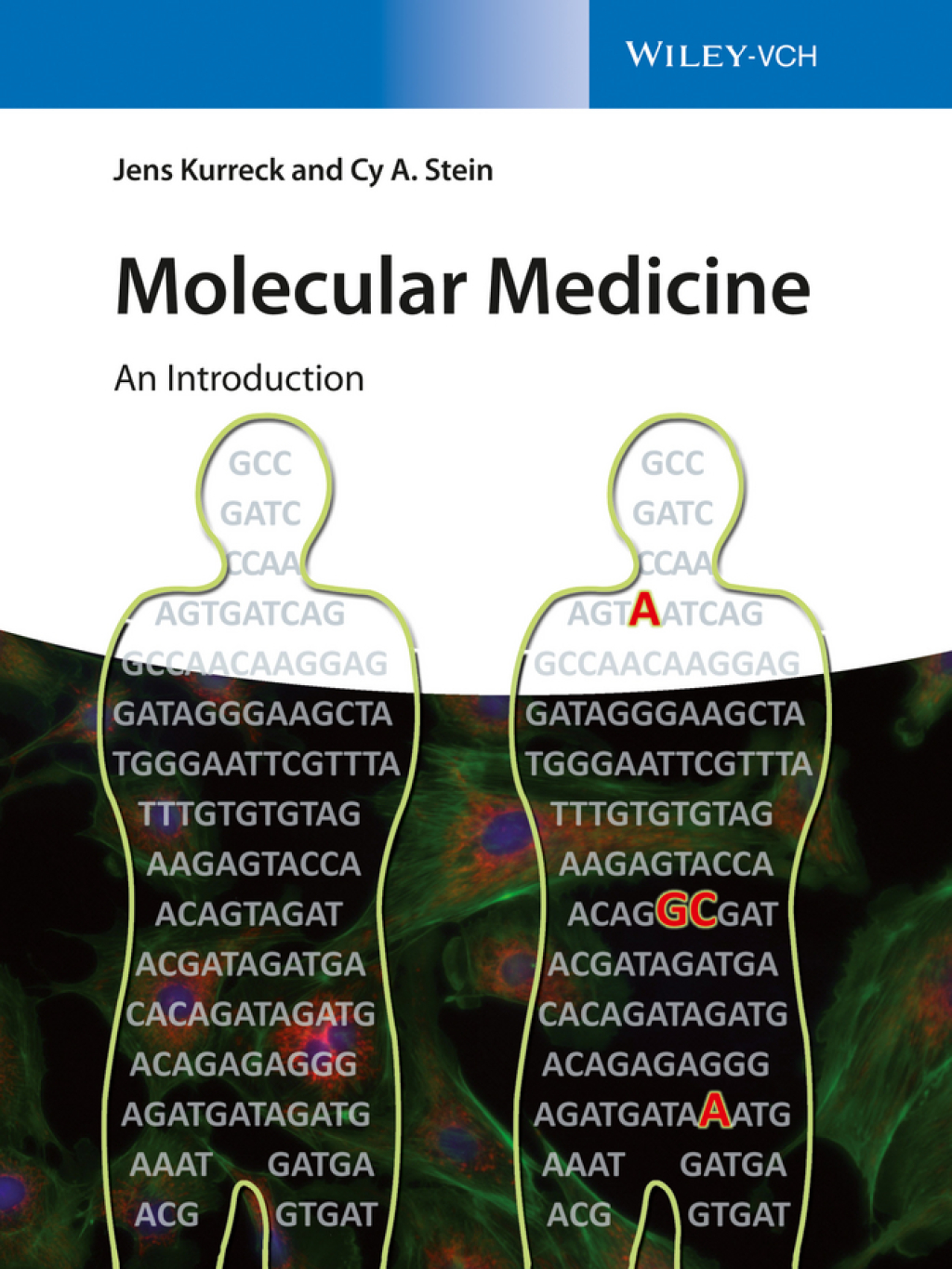 Molecular Medicine: An Introduction An Introduction 1st Edition