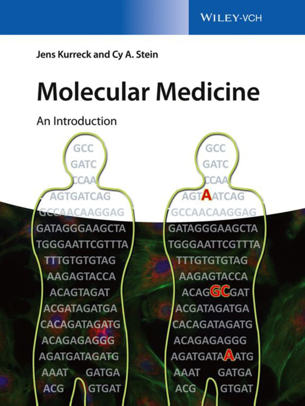 Molecular Medicine: An Introduction 1st Edition
