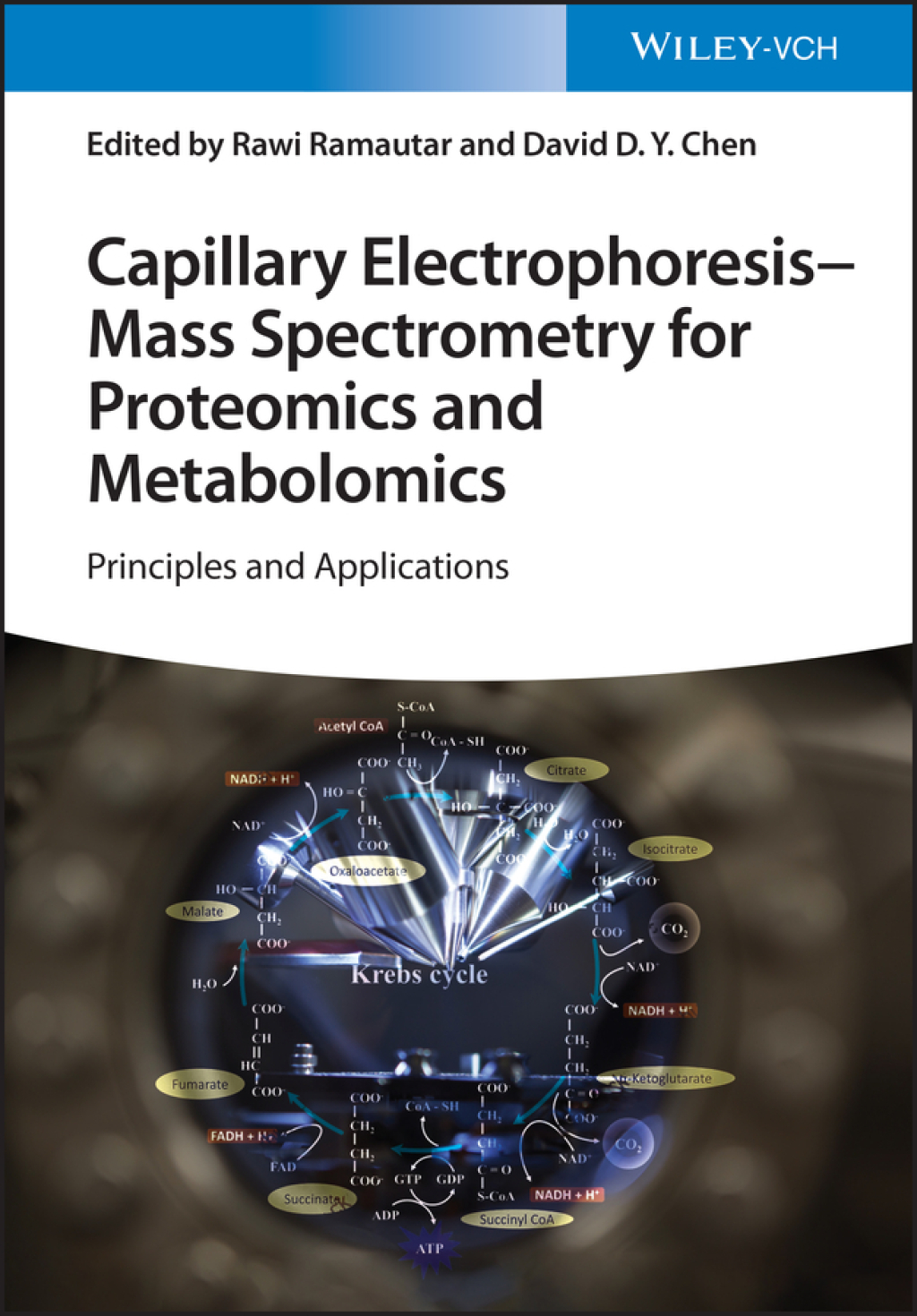Capillary Electrophoresis - Mass Spectrometry for Proteomics and Metabolomics: Principles and Applications Principles and Applications 1st Edition