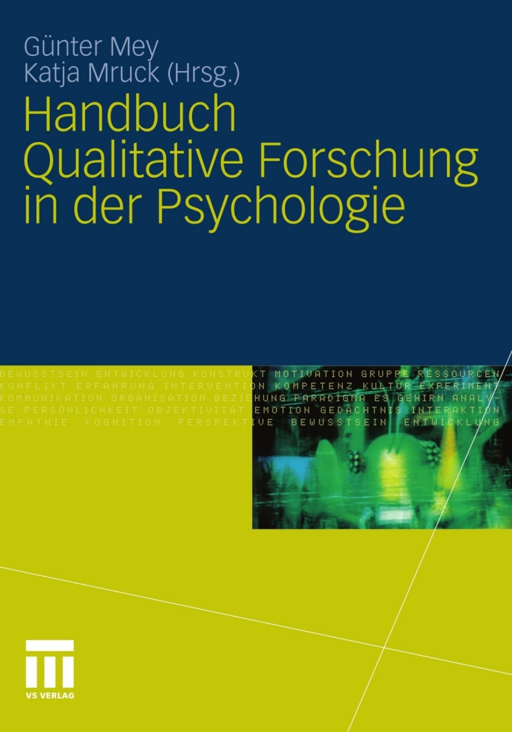 Handbuch Qualitative Forschung in der Psychologie 1st Edition