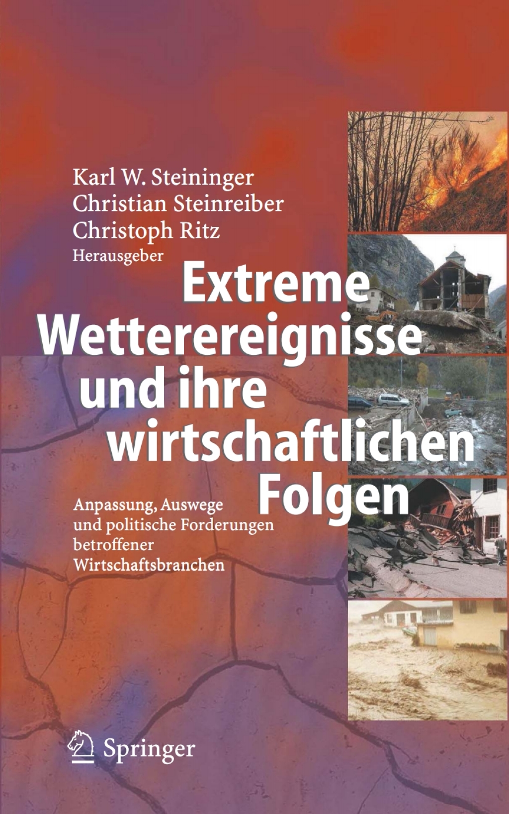 Extreme Wetterereignisse und ihre wirtschaftlichen Folgen Anpassung, Auswege und politische Forderungen betroffener Wirtschaftsbranchen 1st Edition