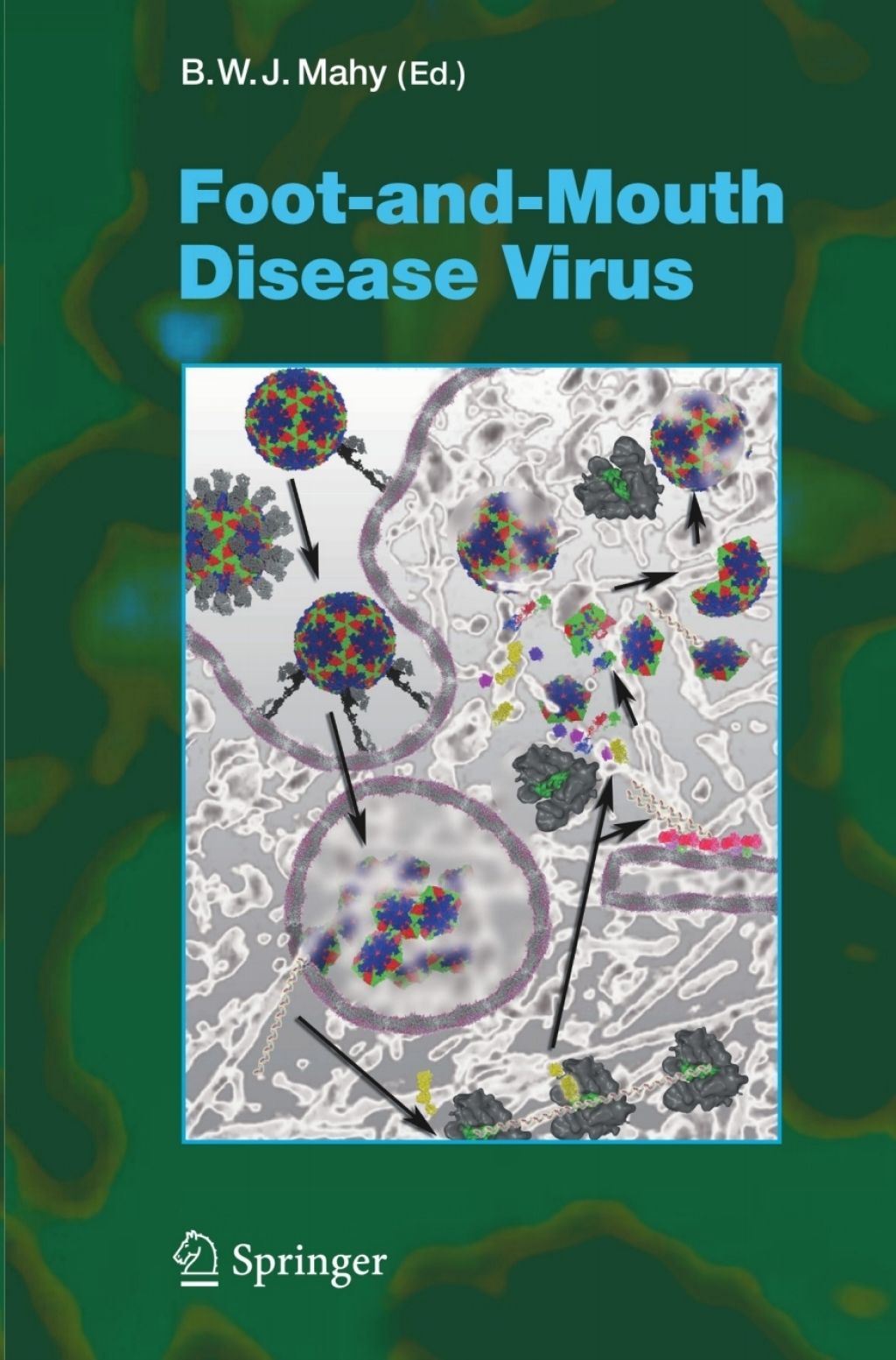 Foot-and-Mouth Disease Virus 1st Edition