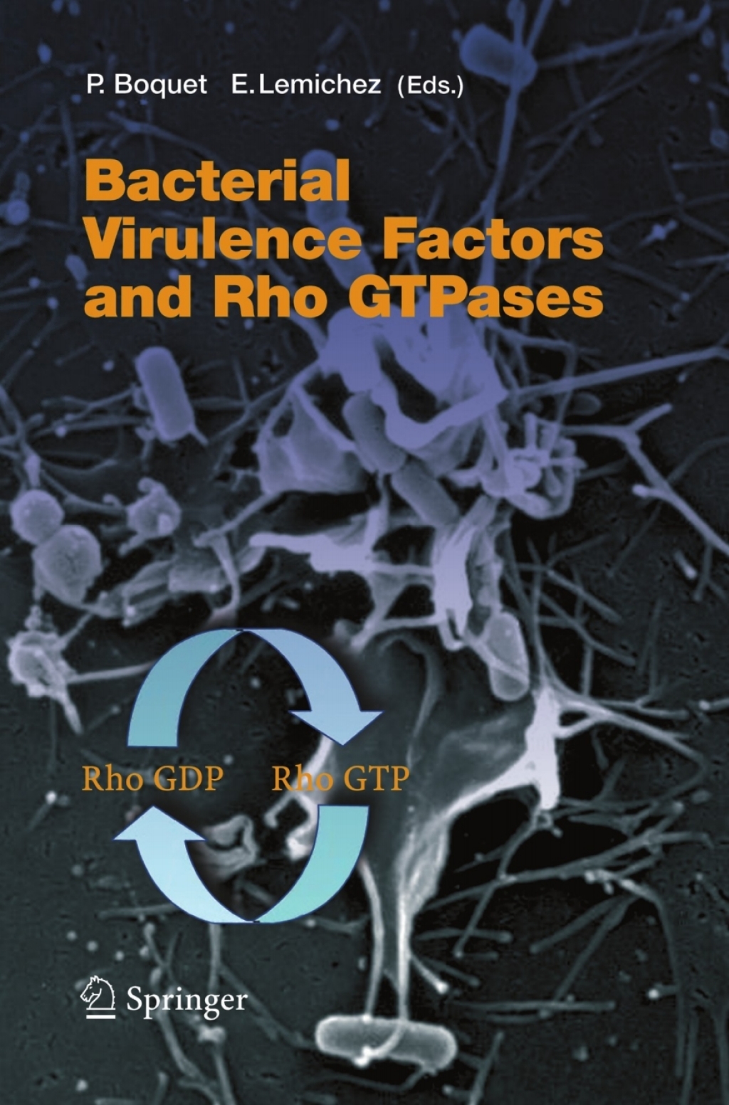 Bacterial Virulence Factors and Rho GTPases 1st Edition