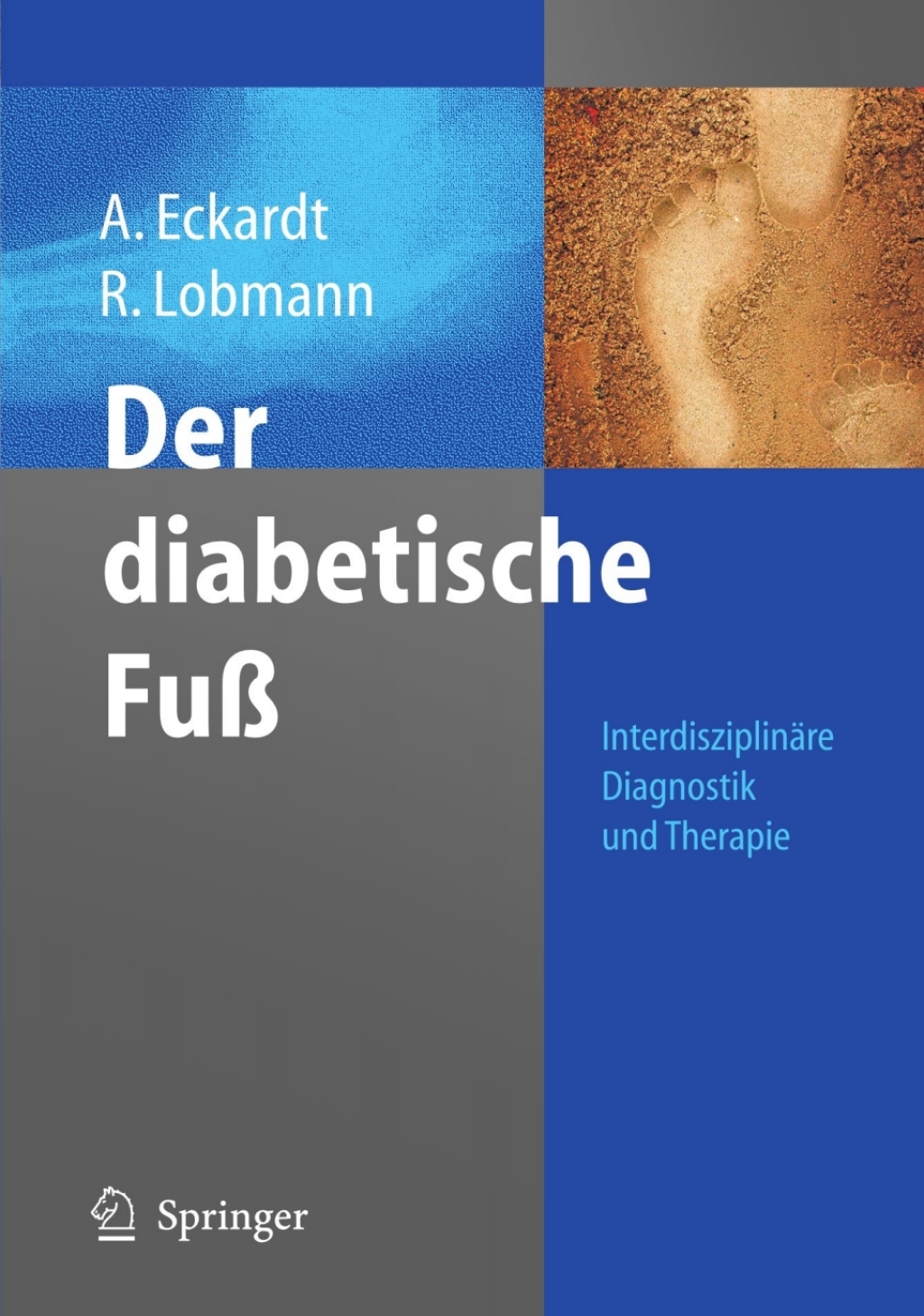 Der diabetische FuÃƒÅ¸ InterdisziplinÃƒÂ¤re Diagnostik und Therapie 