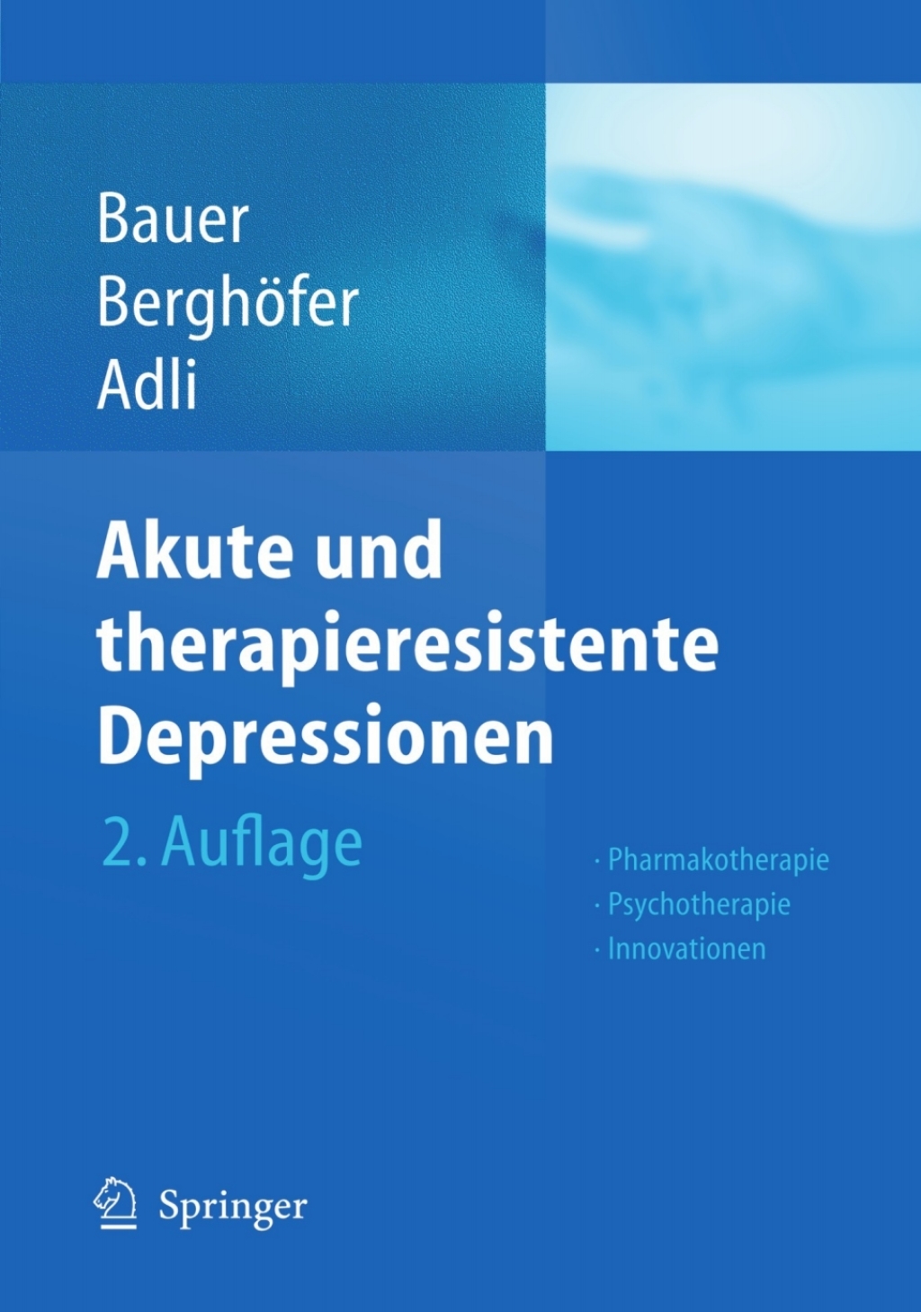 Akute und therapieresistente Depressionen Pharmakotherapie - Psychotherapie - Innovationen 2nd Edition