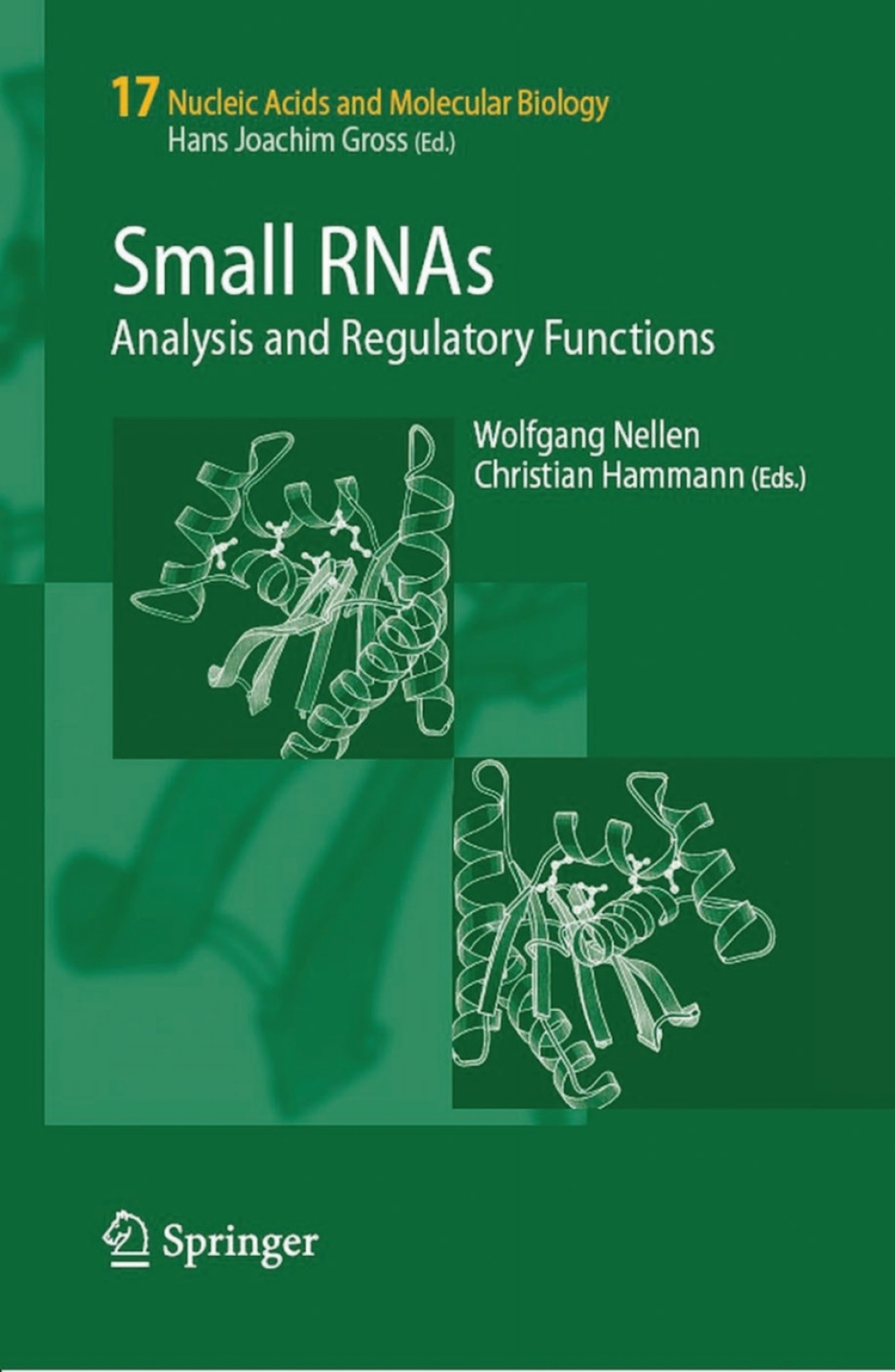 Small RNAs: Analysis and Regulatory Functions 