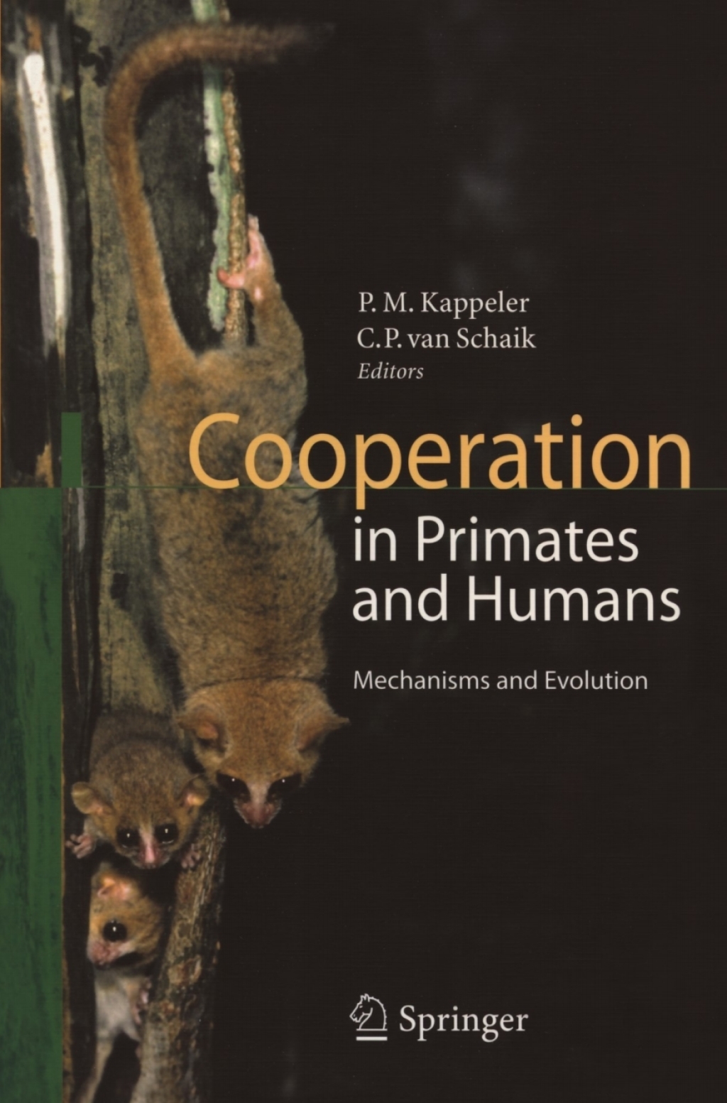 Cooperation in Primates and Humans Mechanisms and Evolution 1st Edition