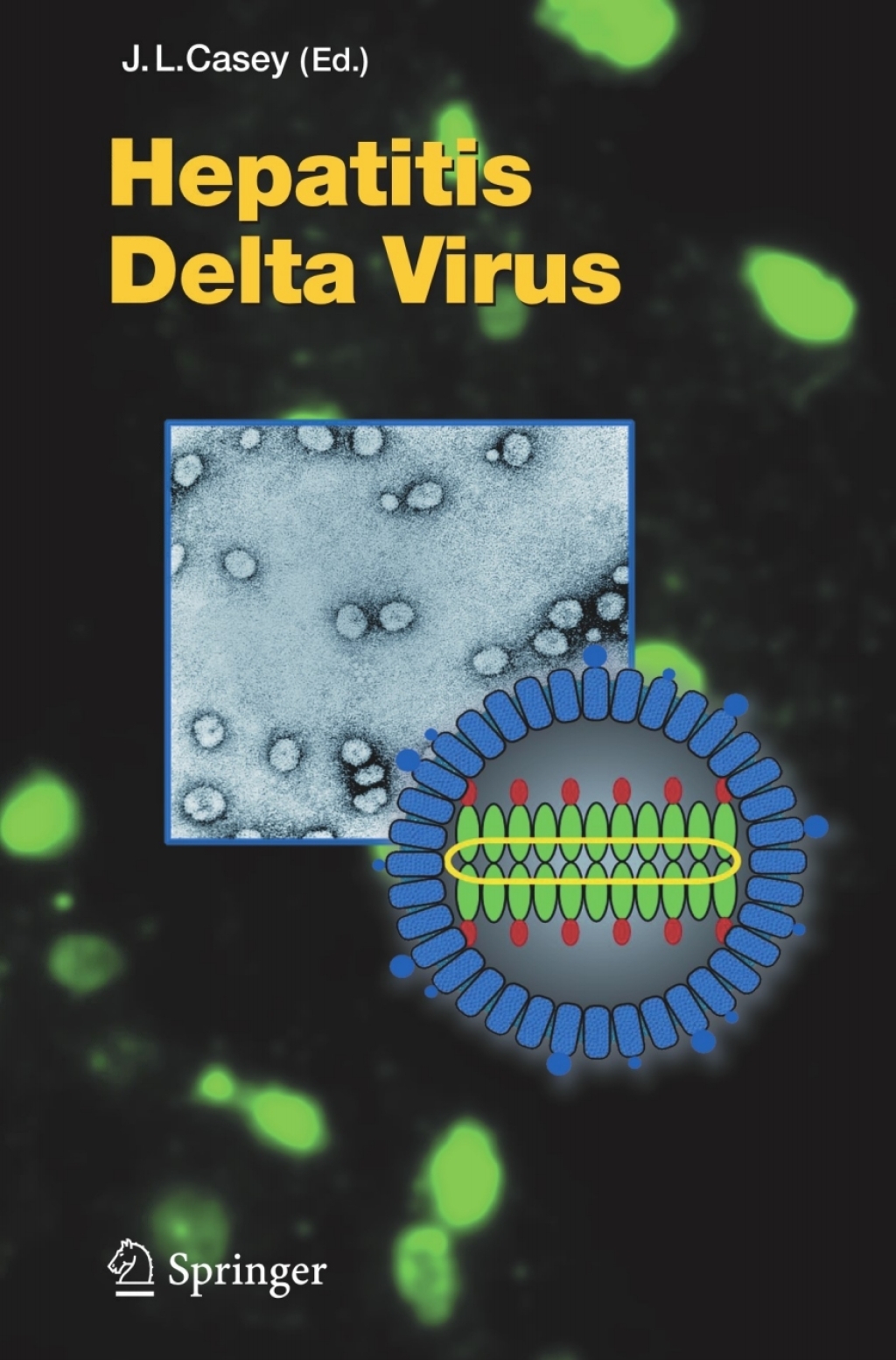 Hepatitis Delta Virus 1st Edition