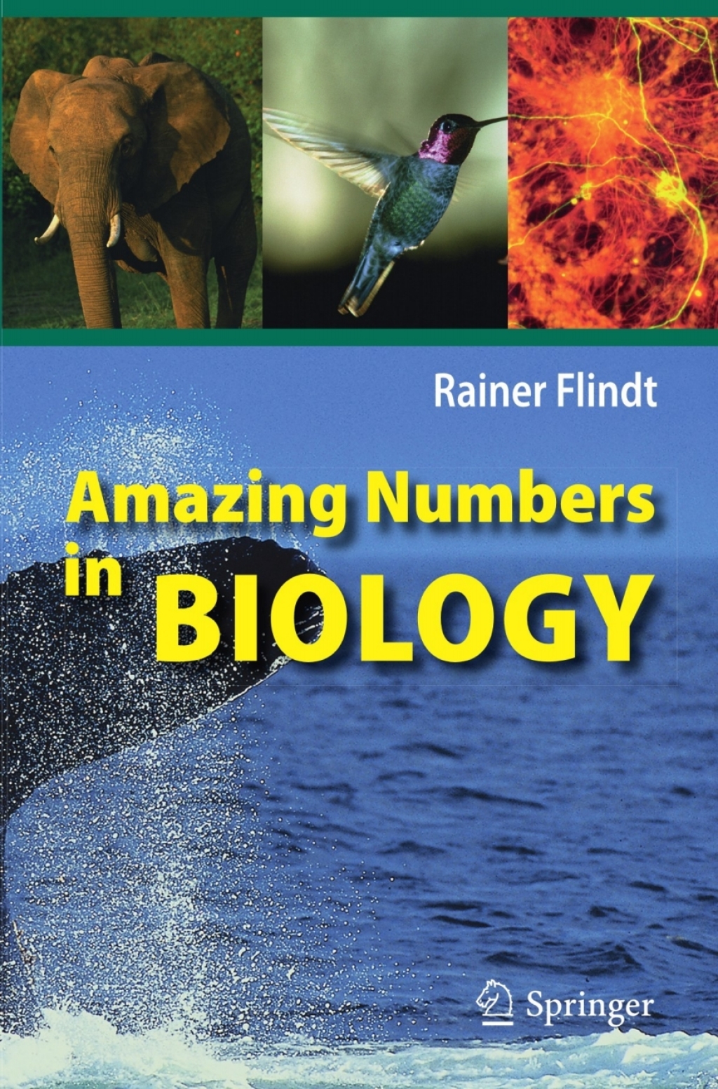 Amazing Numbers in Biology 