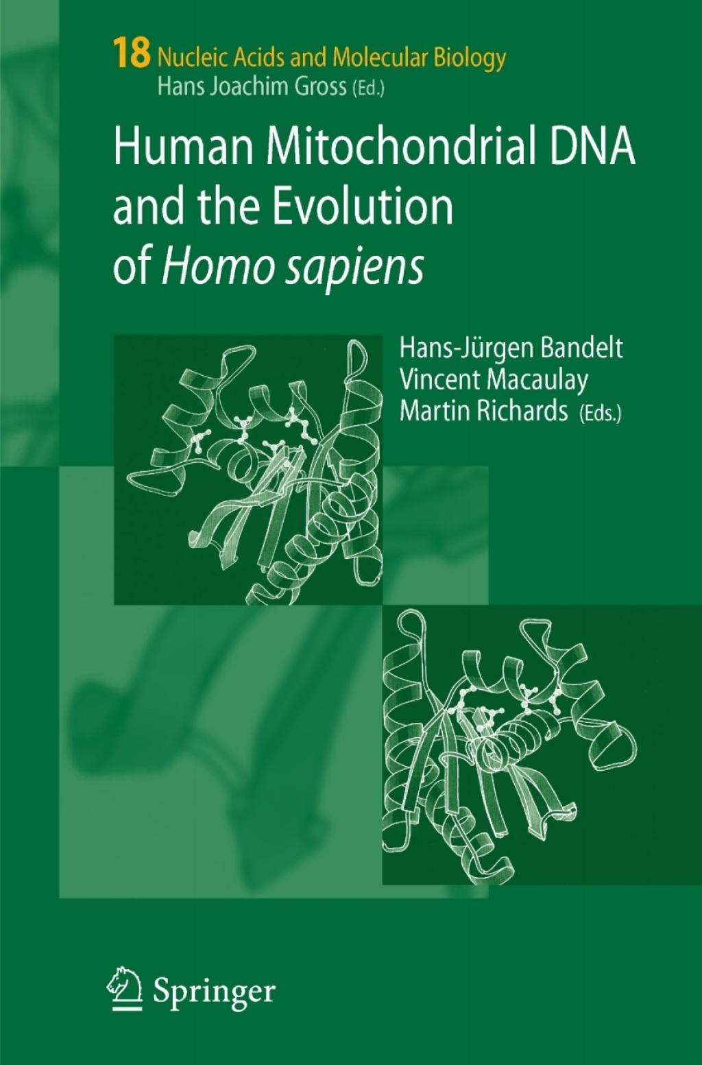 Human Mitochondrial DNA and the Evolution of Homo sapiens 1st Edition