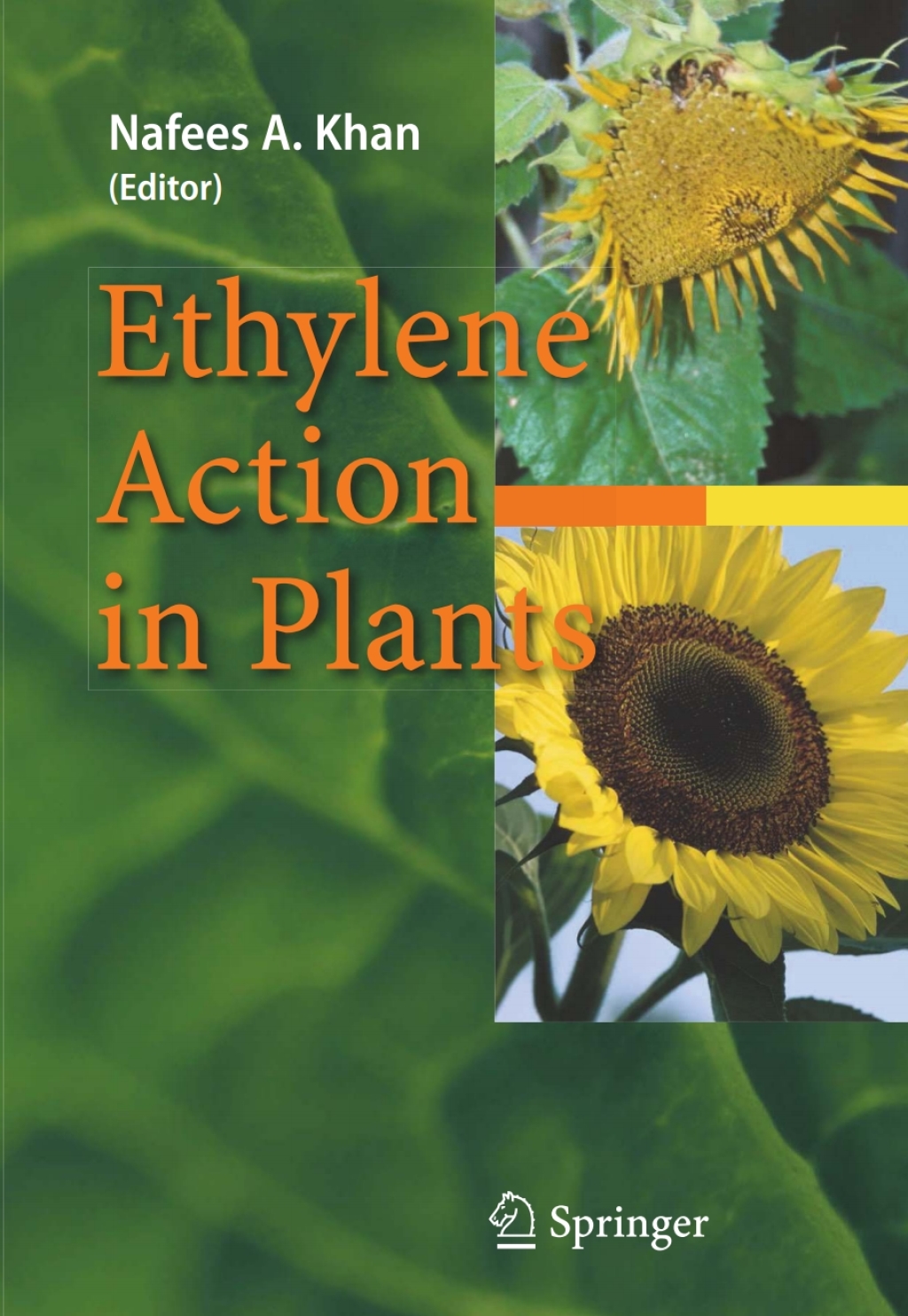 Ethylene Action in Plants 1st Edition