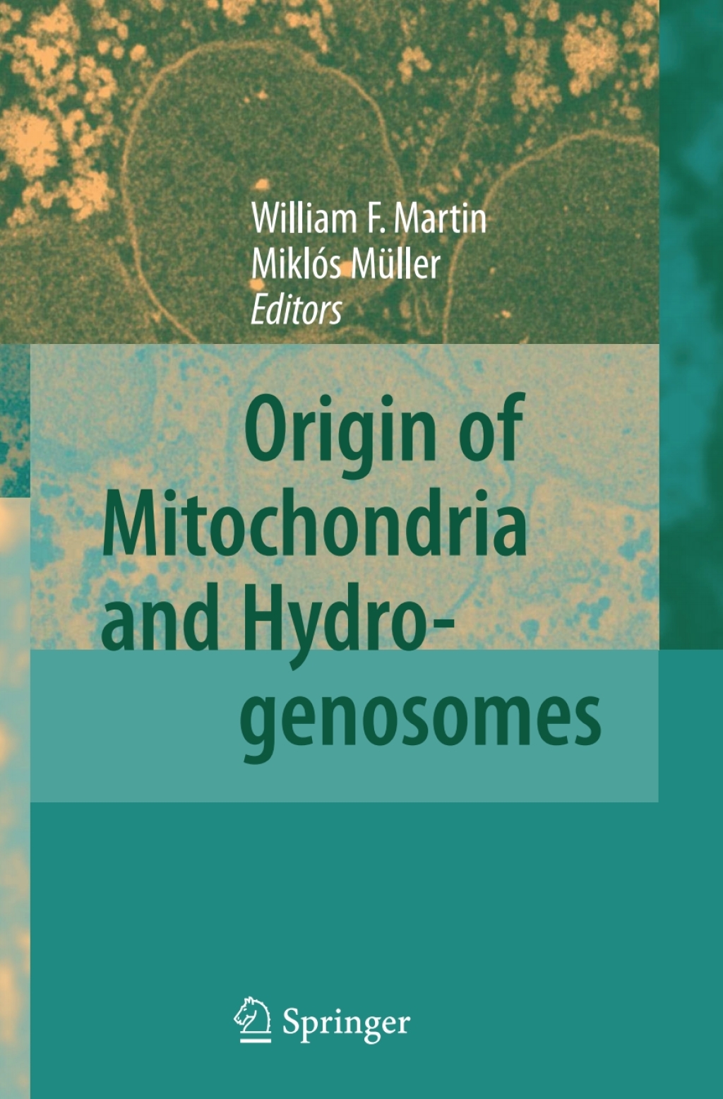 Origin of Mitochondria and Hydrogenosomes 1st Edition